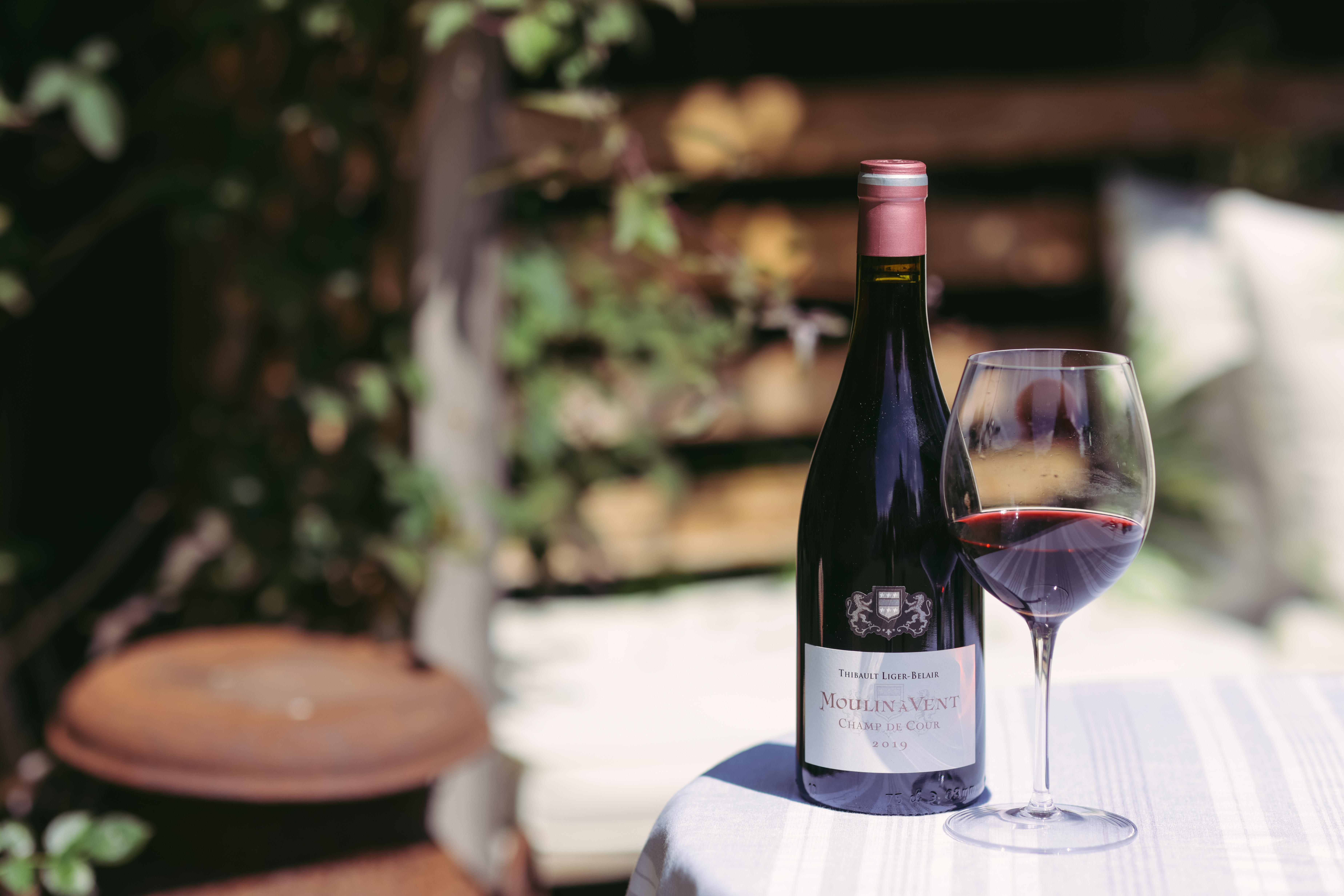 2023-Summer-photoshot-2019-Moulin-a-Vent-Champ-de-Cour-Thibault-Liger-Belair-Beaujolais-4