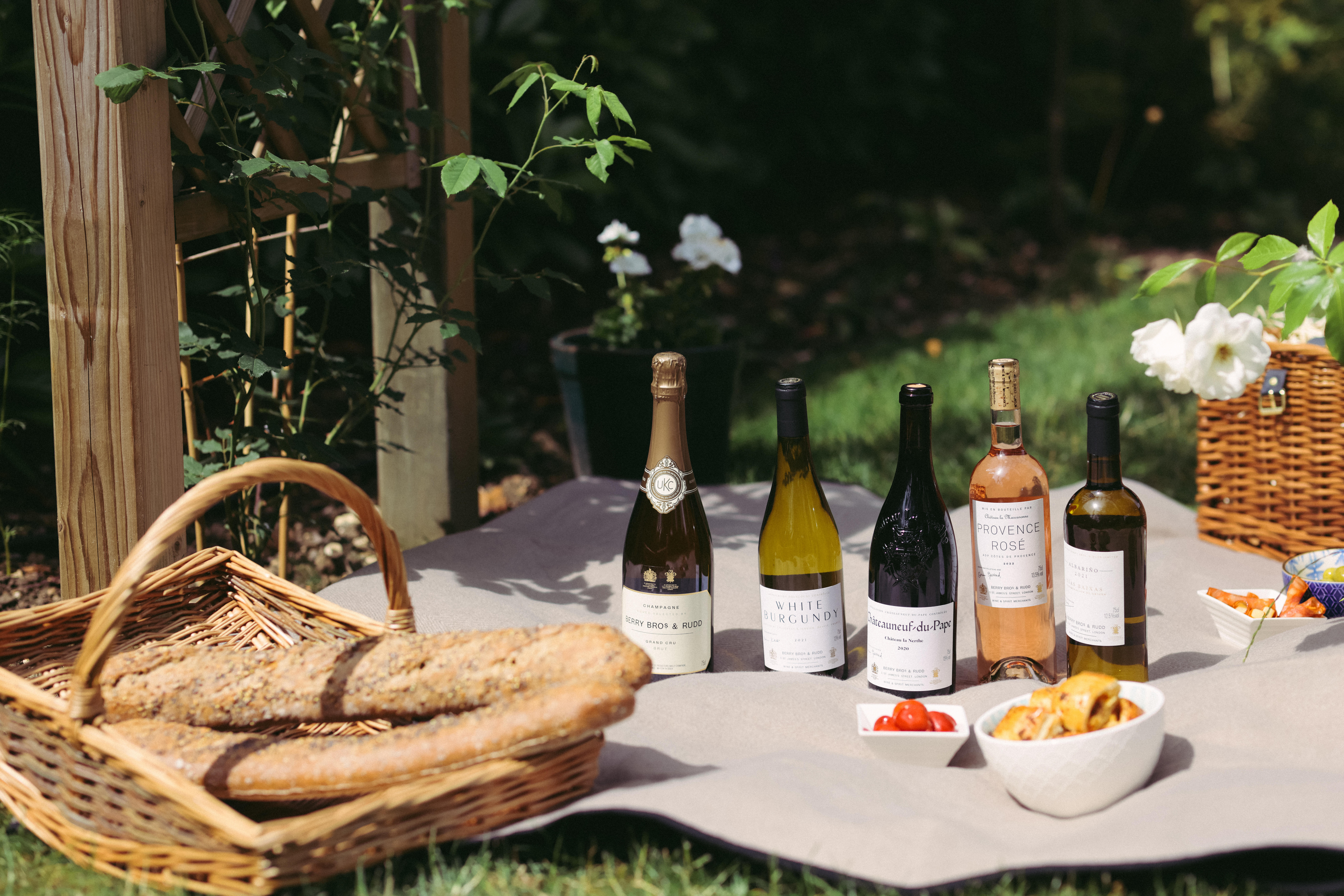 2023-Summer-photoshot-The-Picnic-Case-3