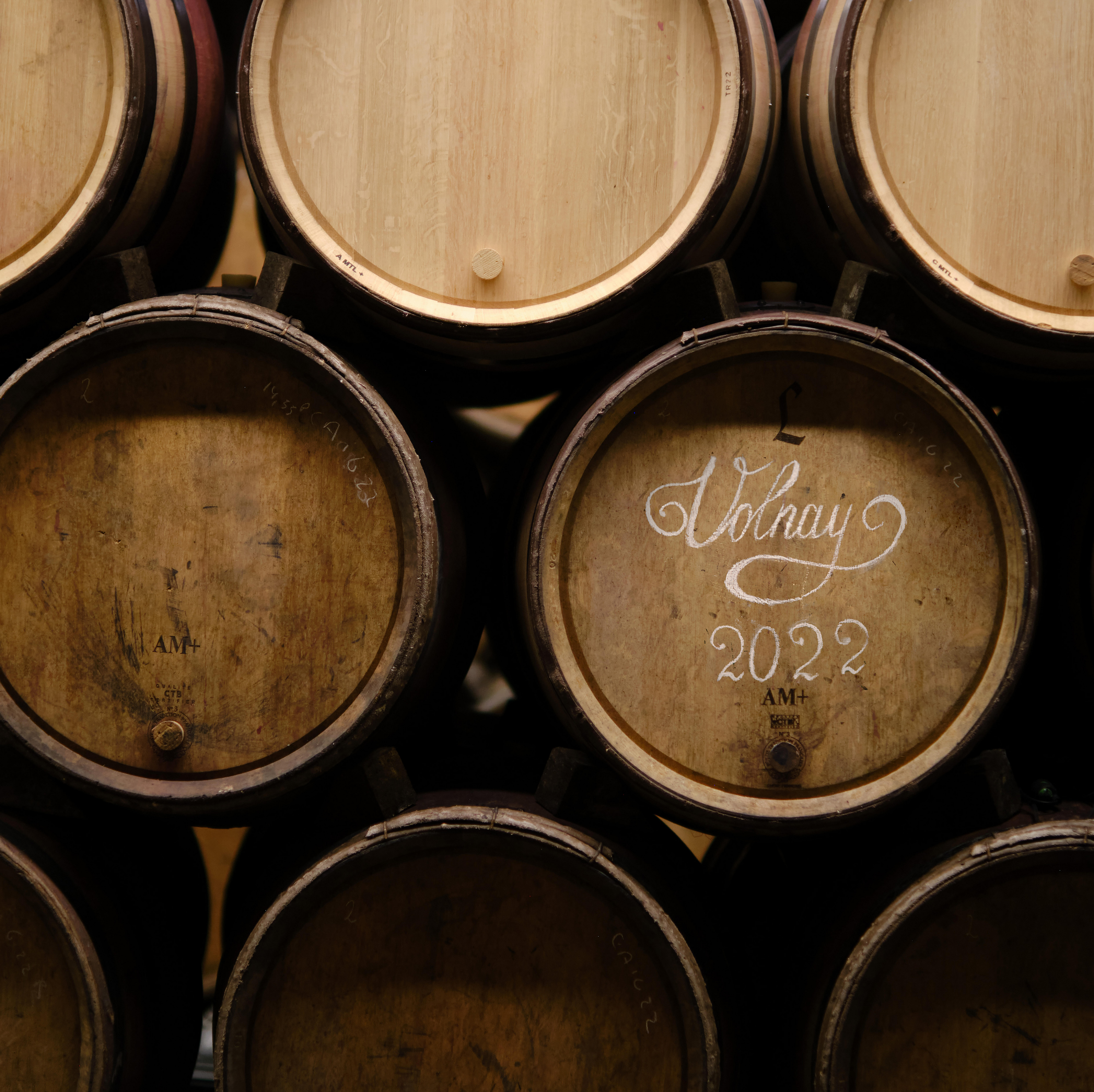 26_Domaine-Michel-Lafarge_Volnay_Burgundy-2022_Jason-Lowe-EDITED