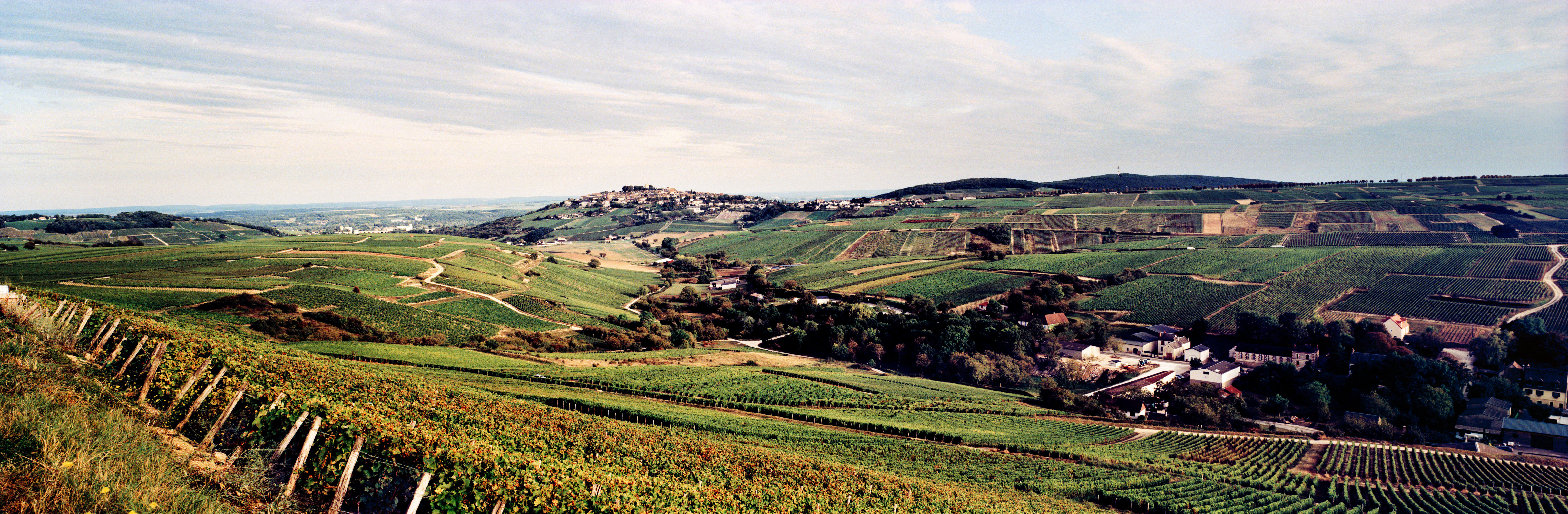 90068001290_Loire_Jason-Lowe_0000_01