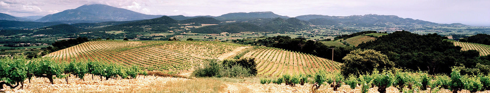 90068001443_rhone-2022-en-primeur-south_0000_01