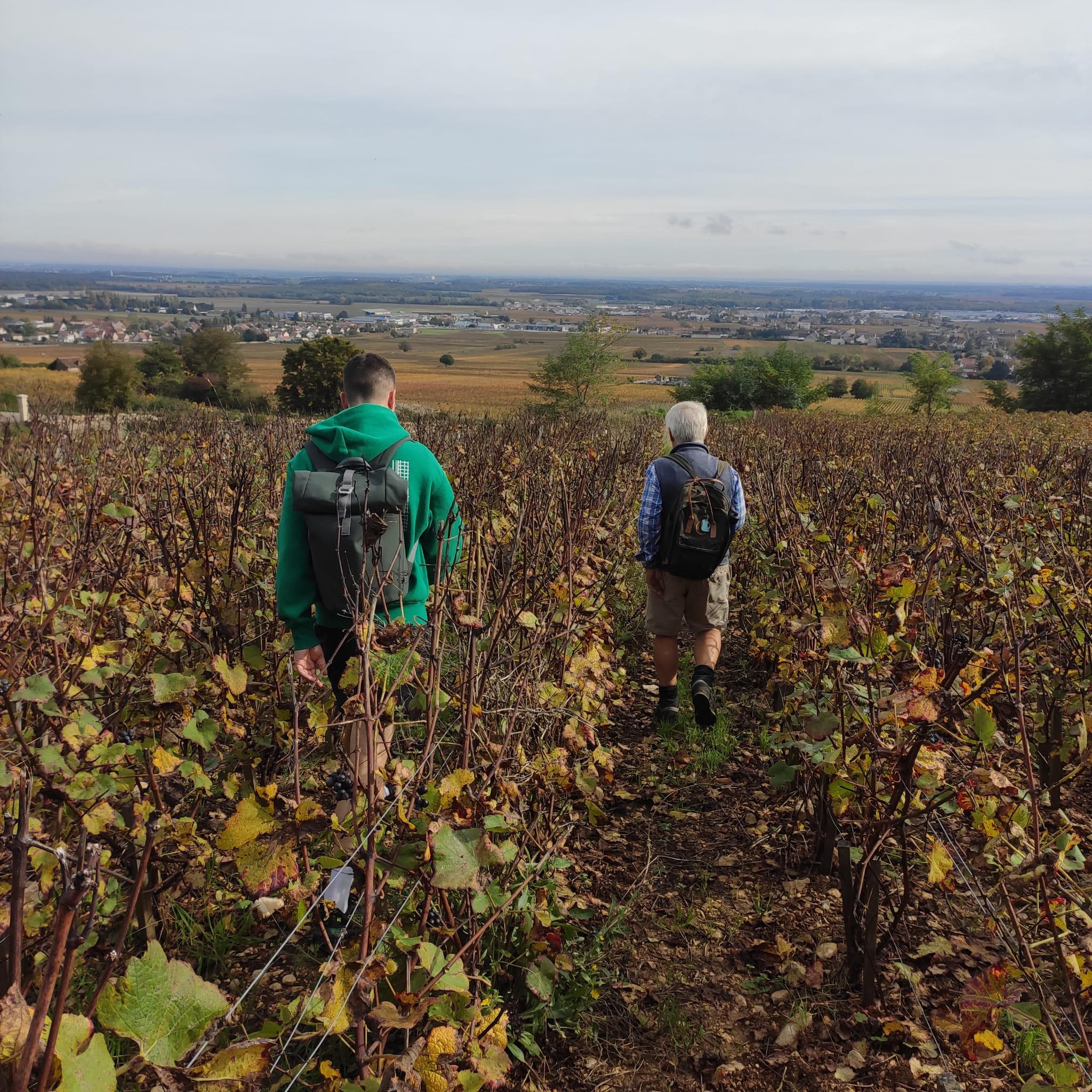 Adam-and-Mark-walking-through-the-vines-in-Gevrey-Chambertin_Charlie-Geoghegan-trip-2024
