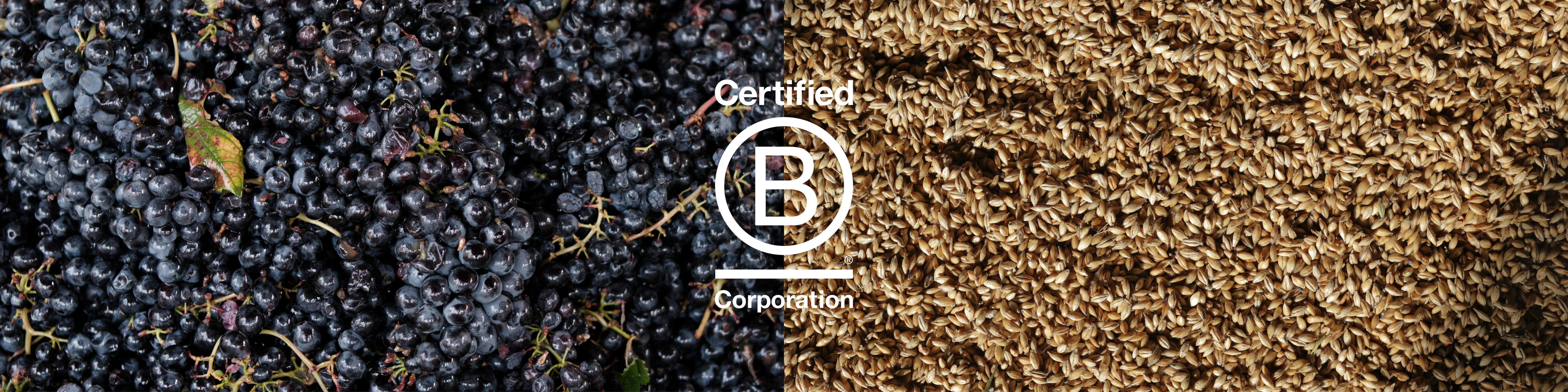 B-Corp-Article-Banner