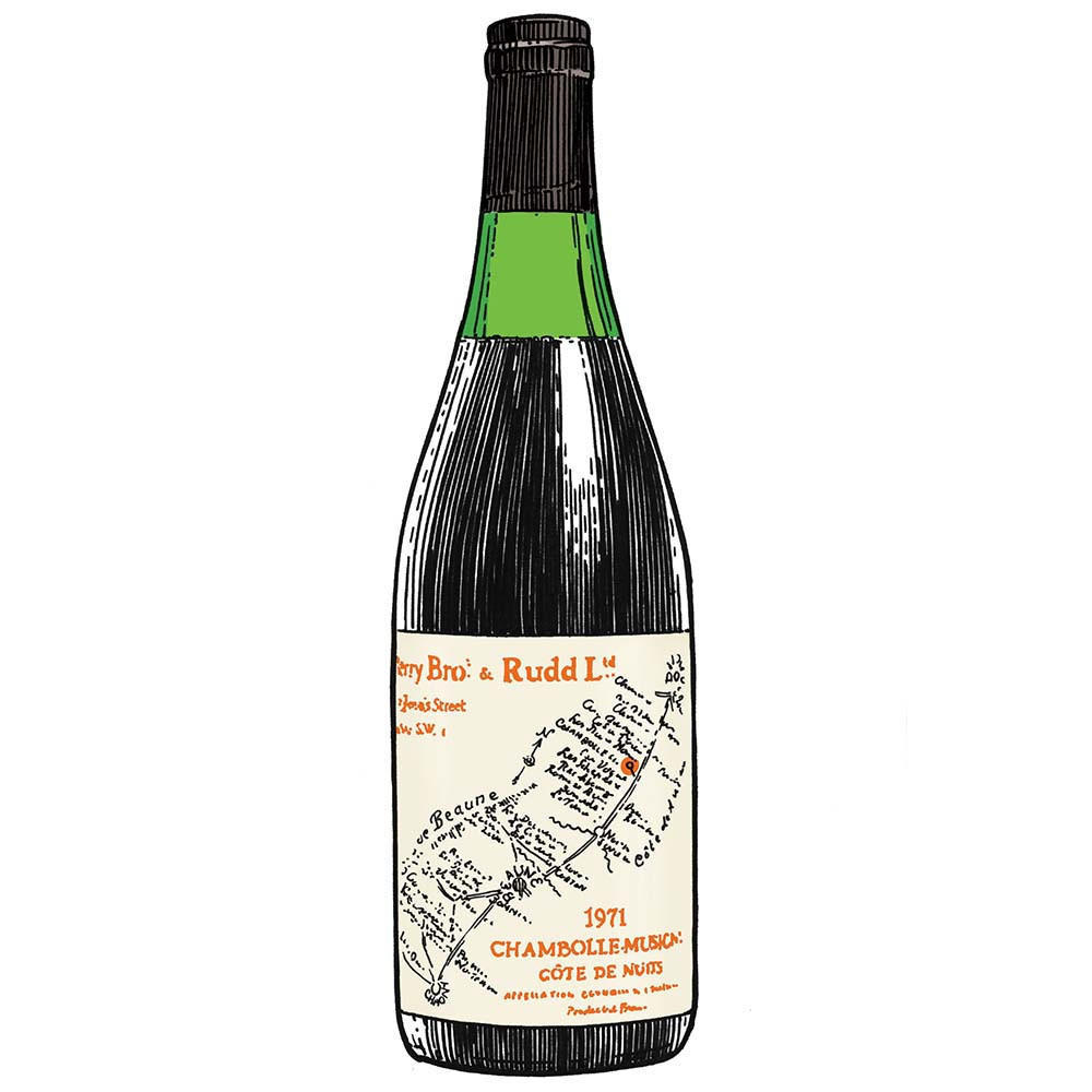 An illustration of a bottle of 1971 Chambolle-Musigny from Berry Bros. & Rudd; this is a favourite Burgundy memory of Will Wrightson.