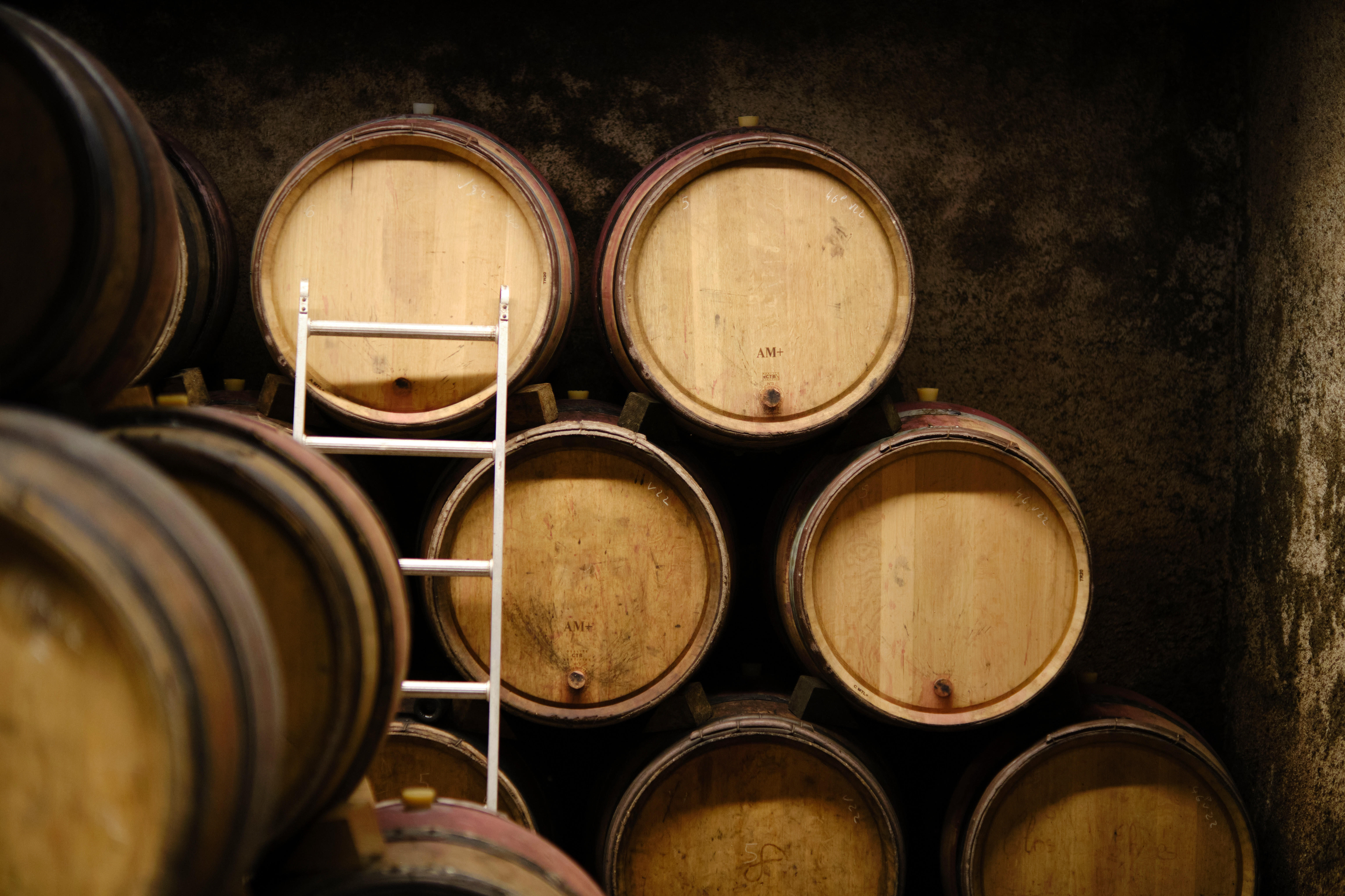 Barrels-in-celar_Domaine-Michel-Lafarge_Volnay_Burgundy-2022_Jason-Lowe