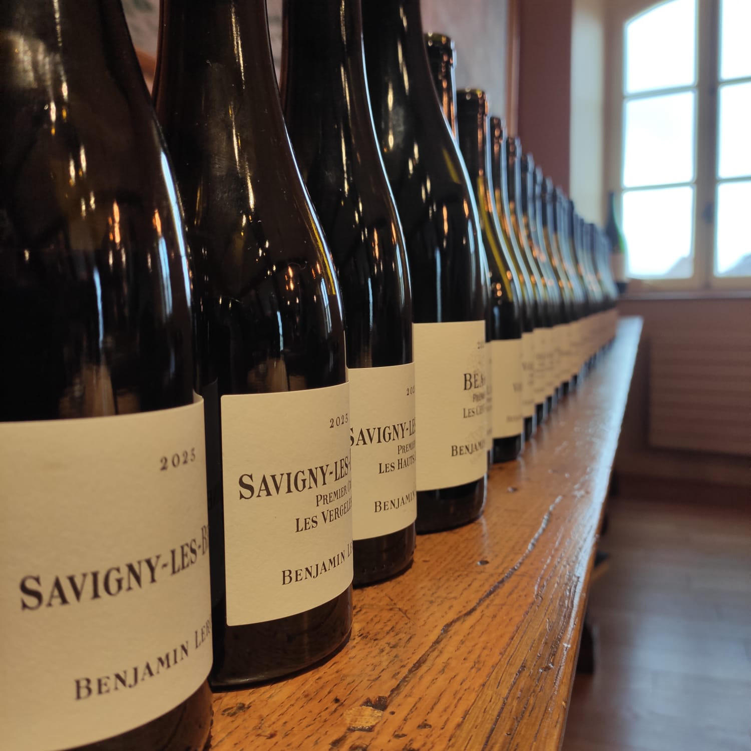 Benjamin-Leroux-2023-wines_Charlie-Geoghegan-trip-2024