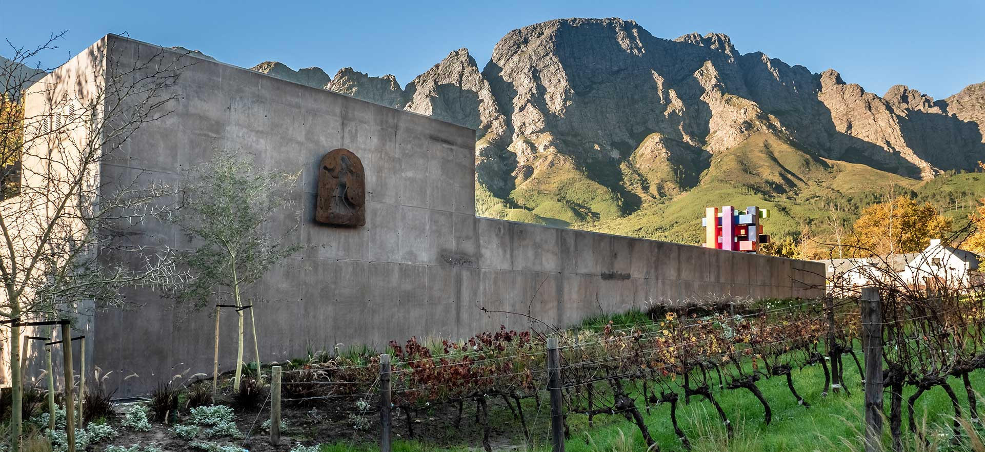 Boekenhoutskloof vineyards in Franschhoek Valley, South Africa, bathed in sunlight with rows of Syrah and Cabernet Sauvignon vines stretching across rolling hills.