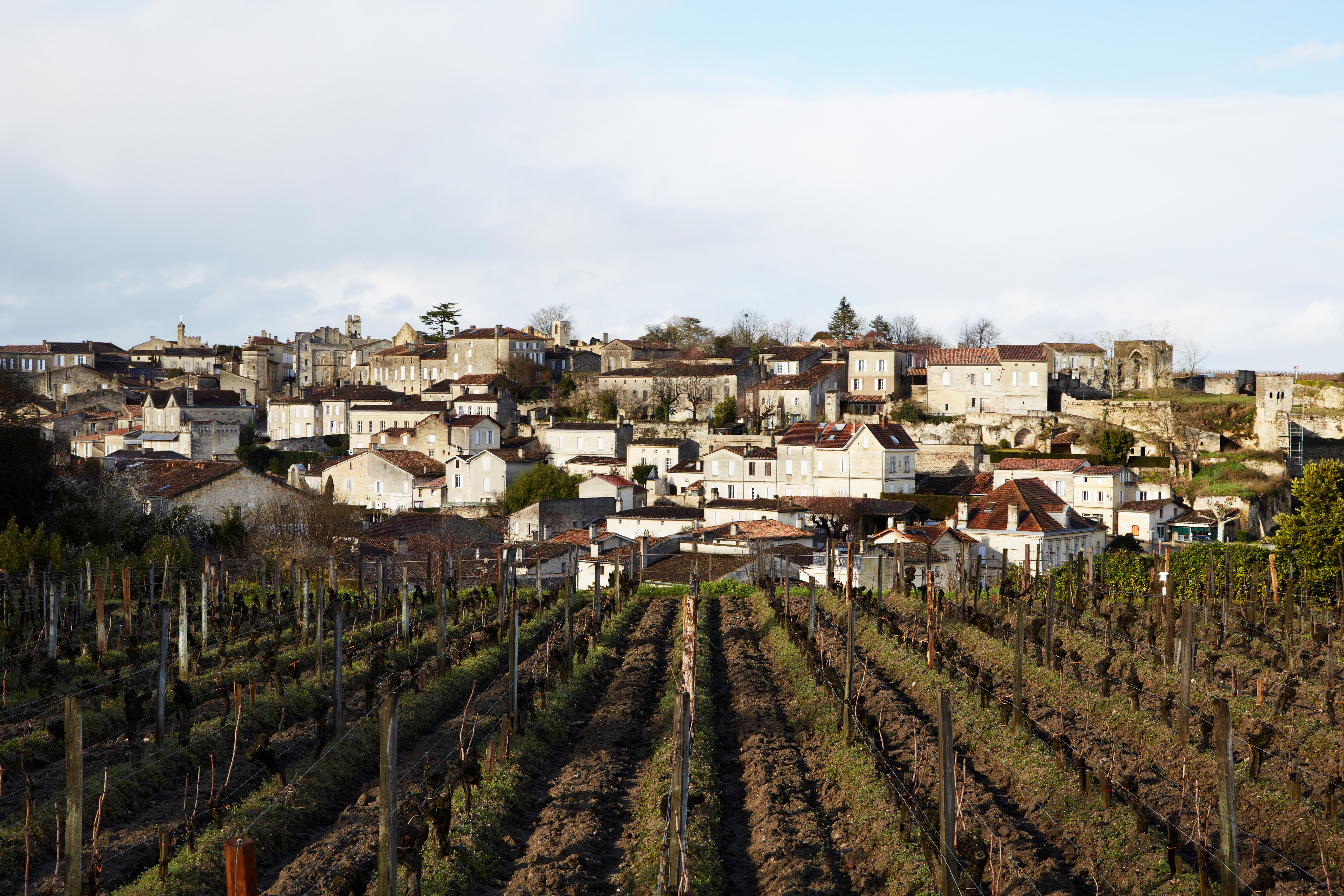 Bordeaux-2015_Jason-Lowe_93