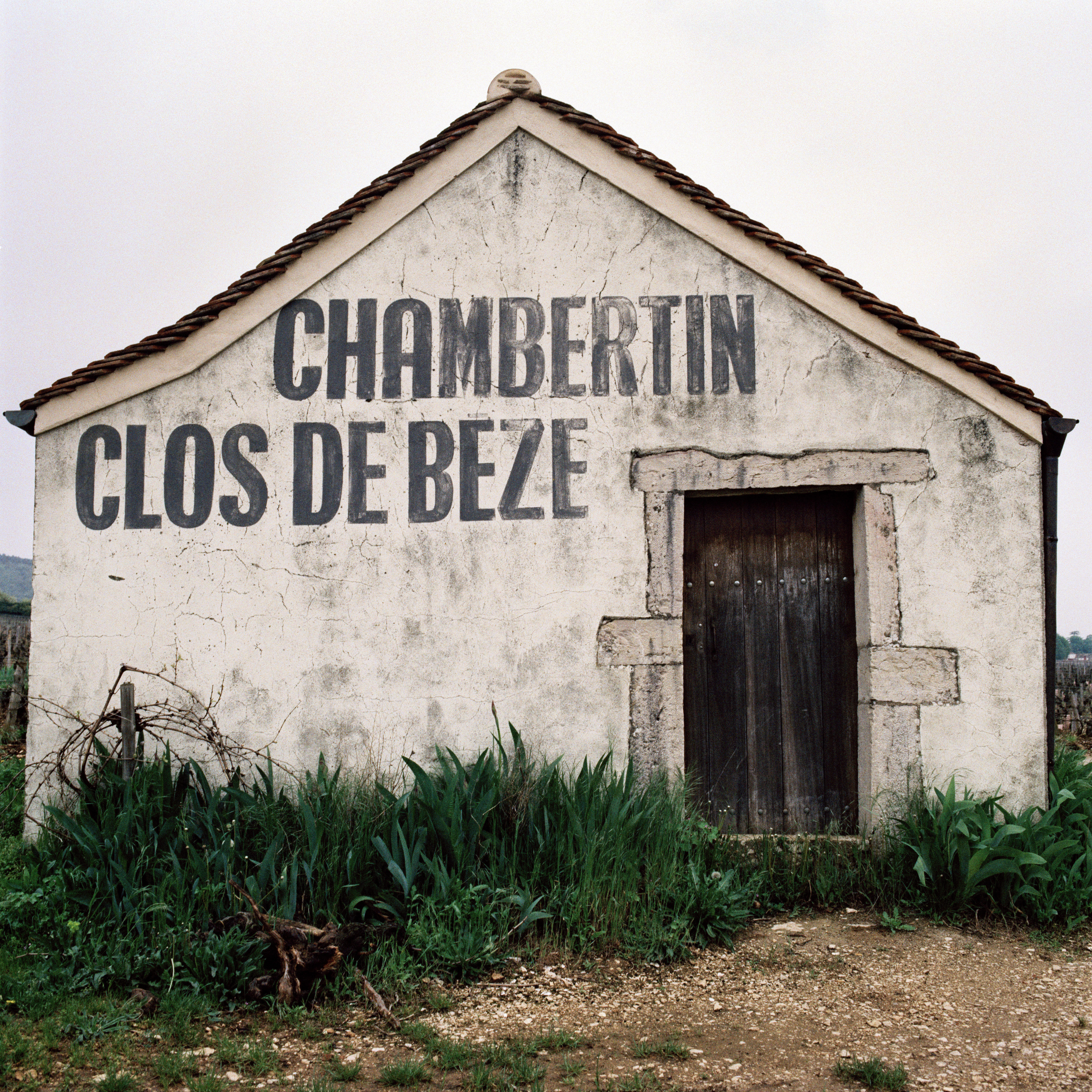 Burgundy-2013_Jason-Lowe_Gevrey-Chambertin_05