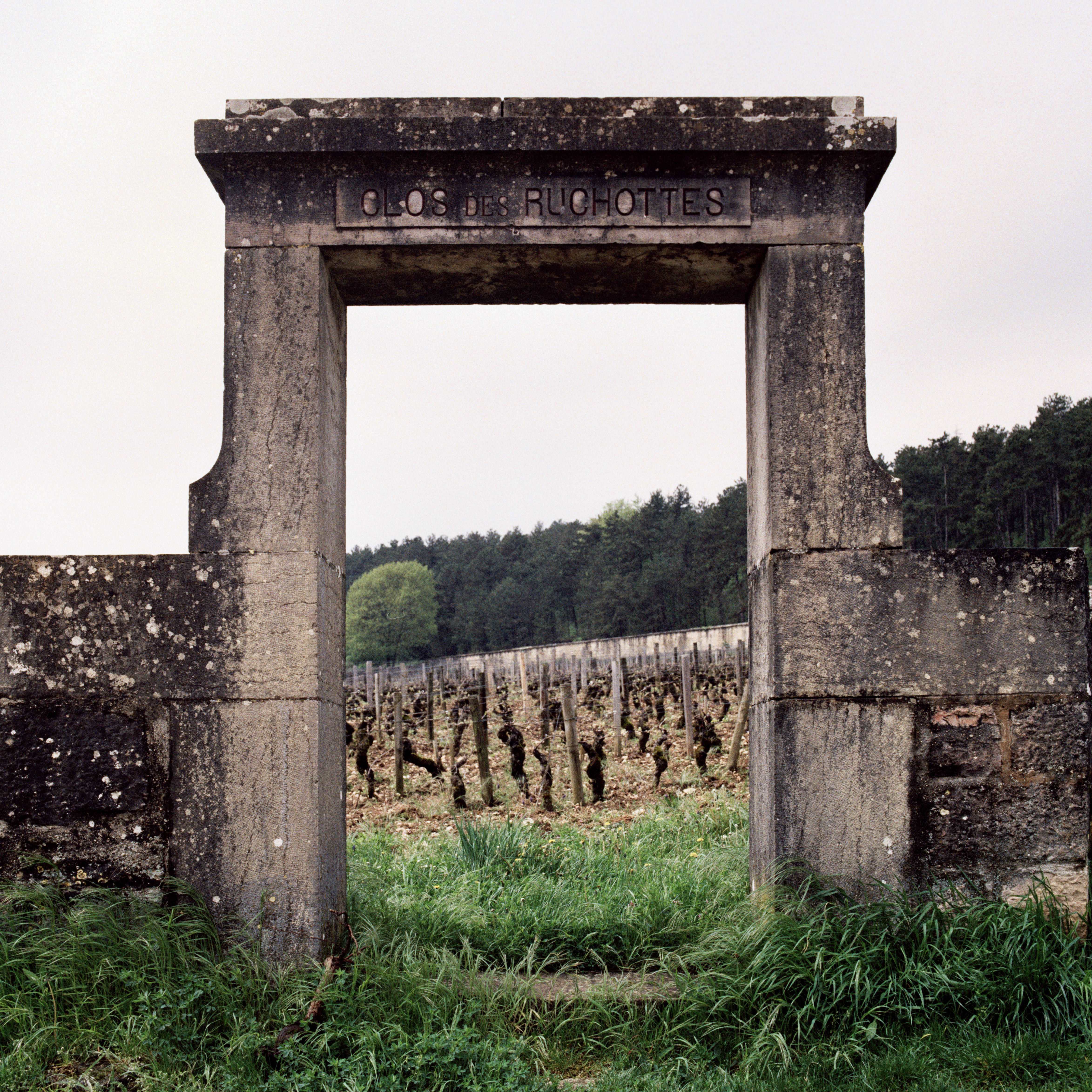 Burgundy-2013_Jason-Lowe_Gevrey-Chambertin_06
