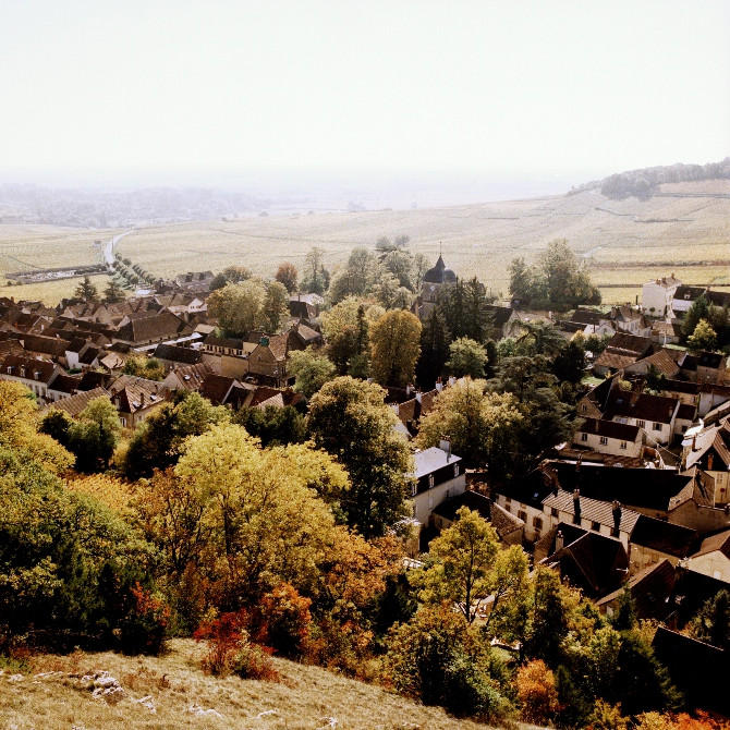 Burgundy-2017_Jason-Lowe_003-1