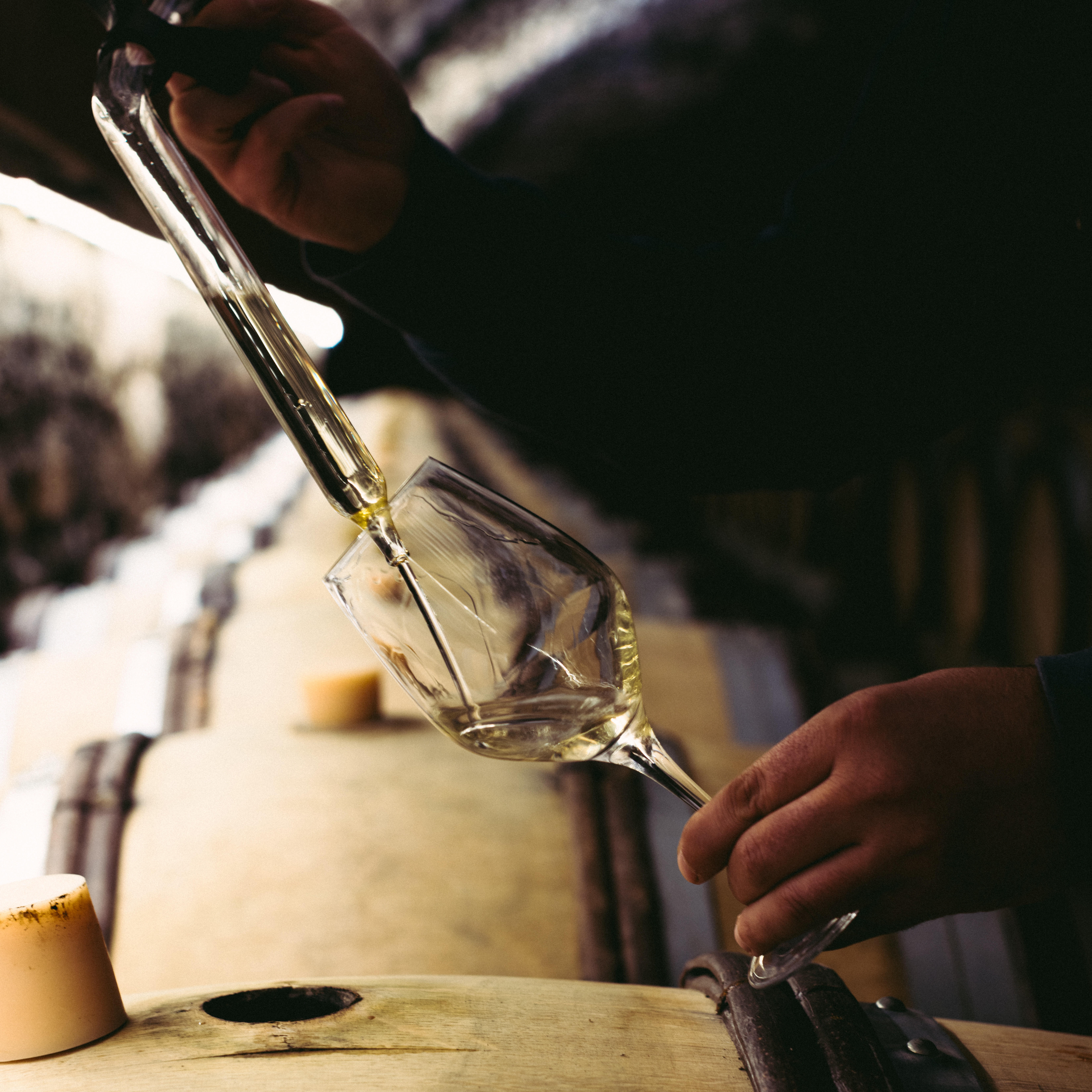 Burgundy-2023-Nuits-Saint-Georges-Faiveley-1