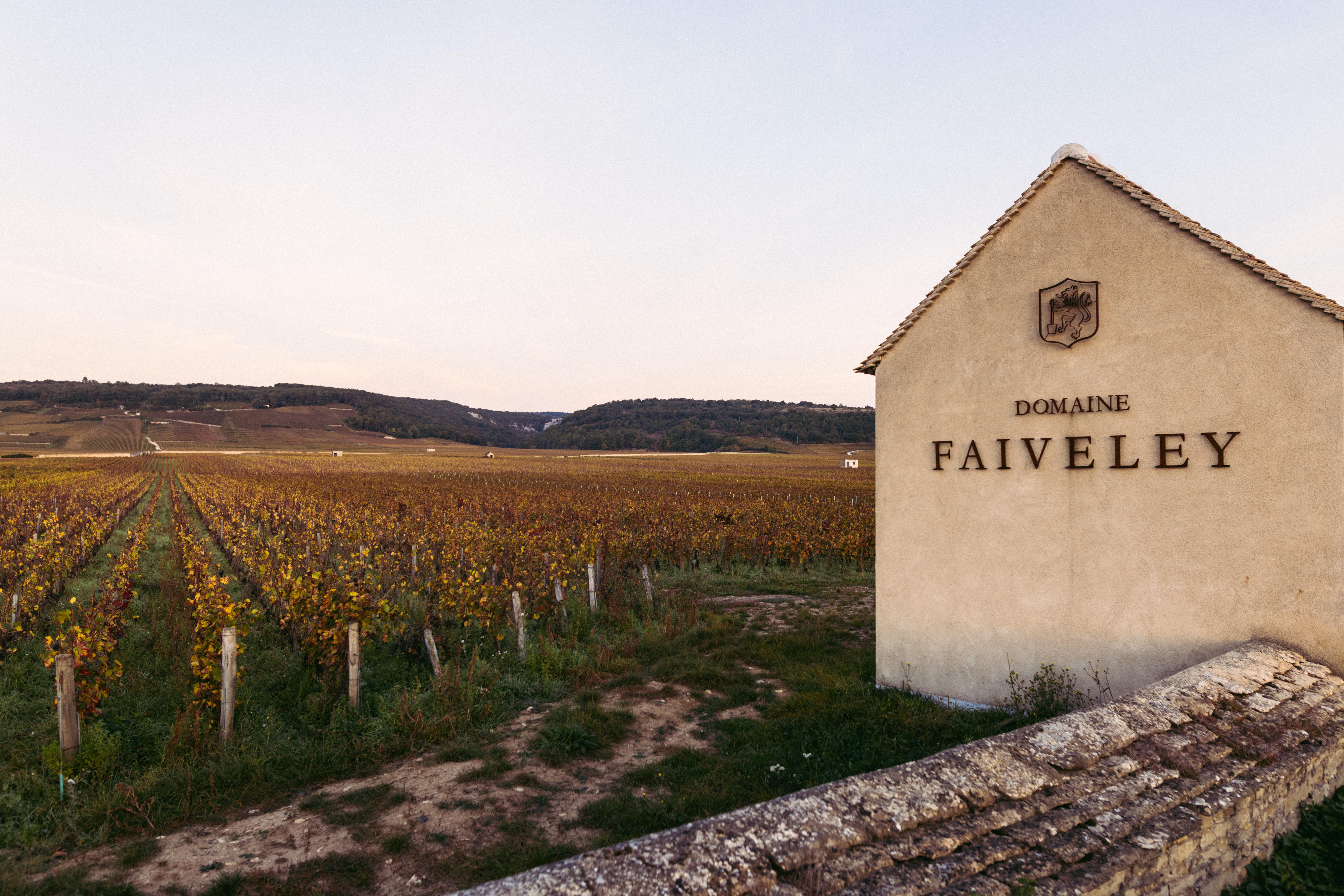 A view of Clos de Vougeot, where Domaine Faiveley has considerable vineyard holdings.