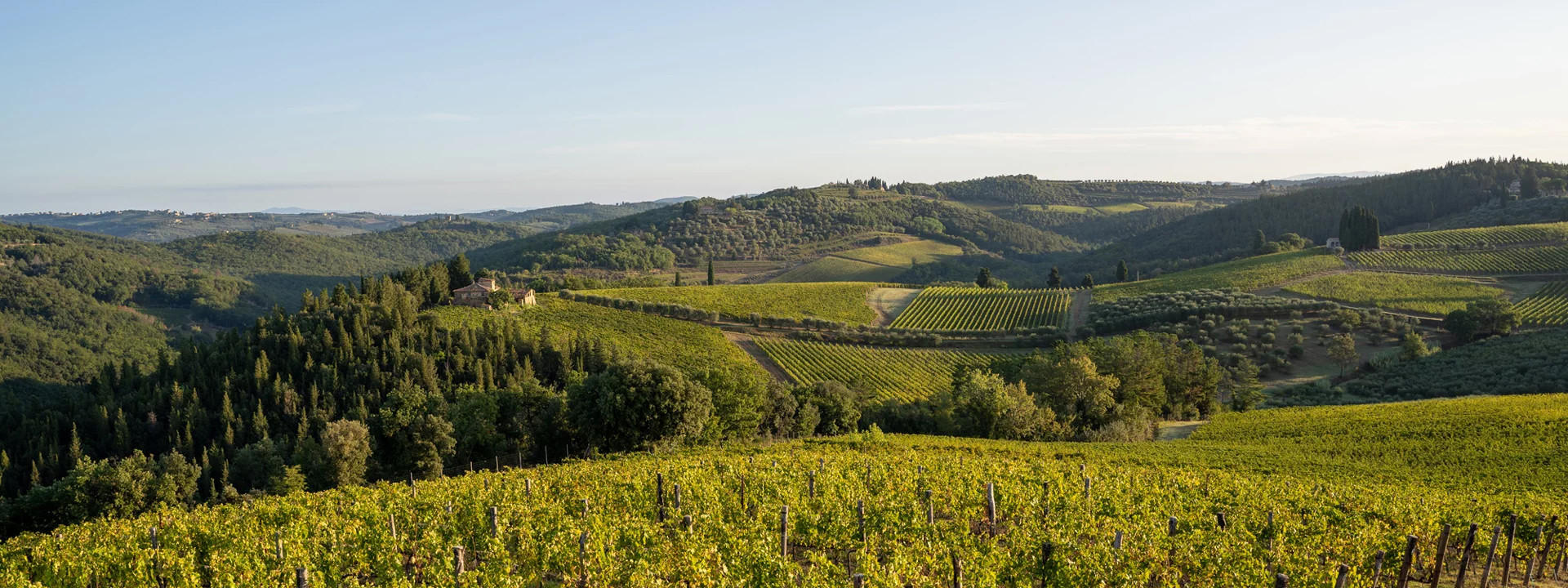 Rolling vineyard-covered hills of Chianti Classico surrounding the Castello di Monsanto estate in Tuscany, Italy, under a clear summer sky.