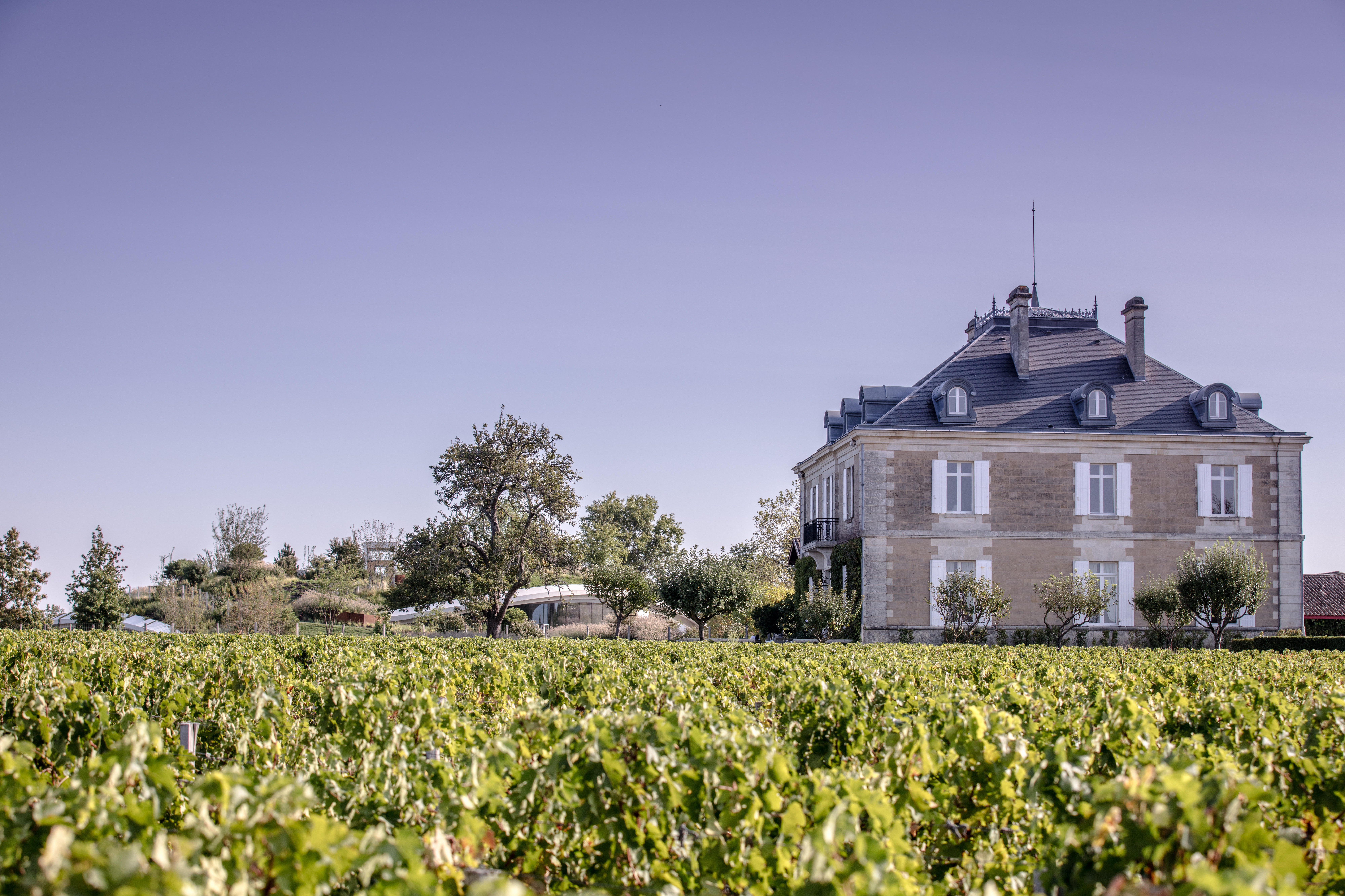 Château Haut-Bailly estate in Pessac-Léognan, Bordeaux, featuring a grand stone building with a slate roof surrounded by lush green vineyards under a clear lavender-blue sky.