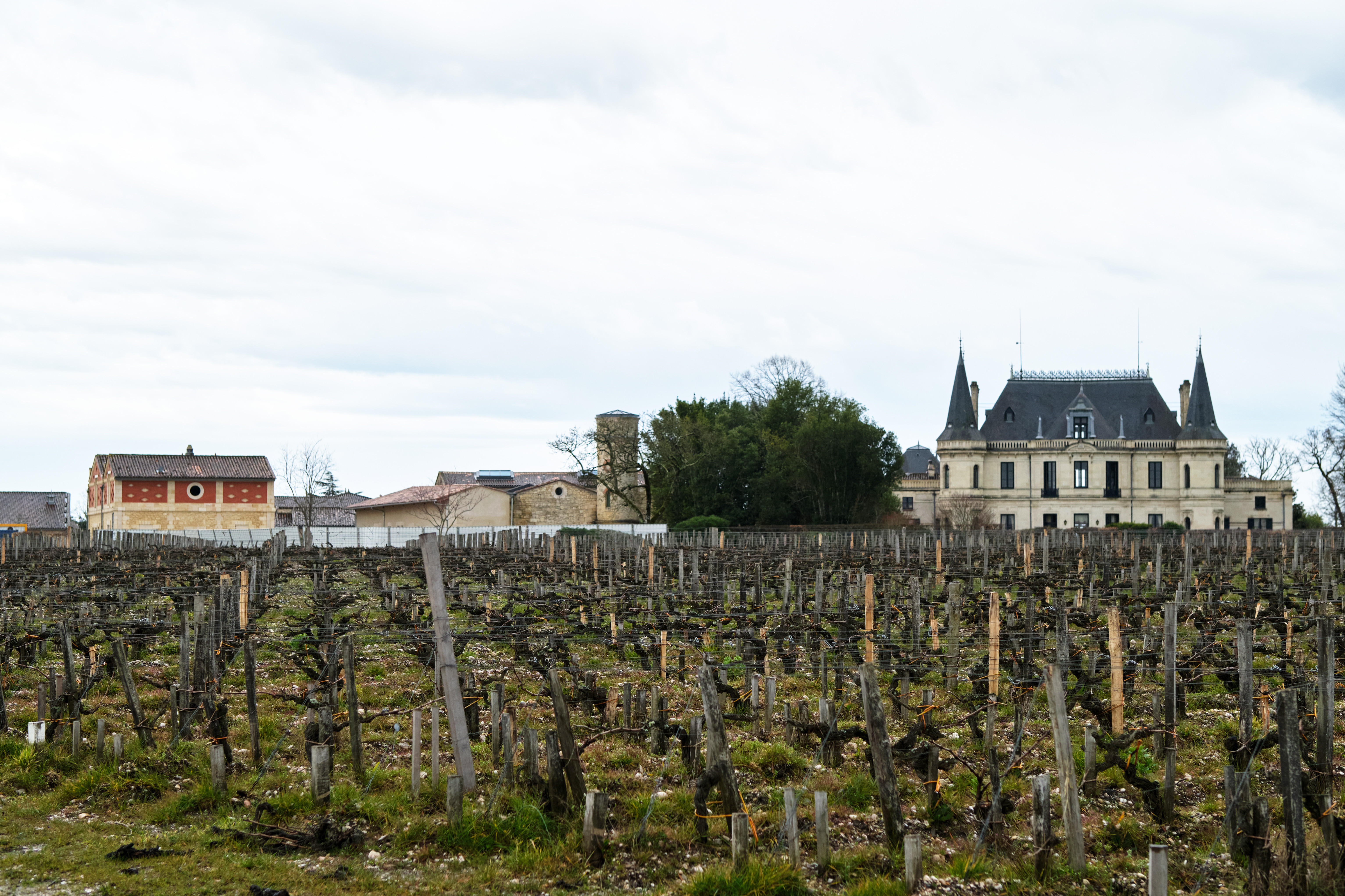 Ch-Palmer_Margaux_Bordeaux-2023_Jason-Lowe