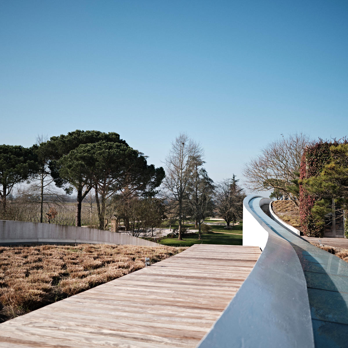 A view from the rooftop of the cellar at Cheval Blanc.