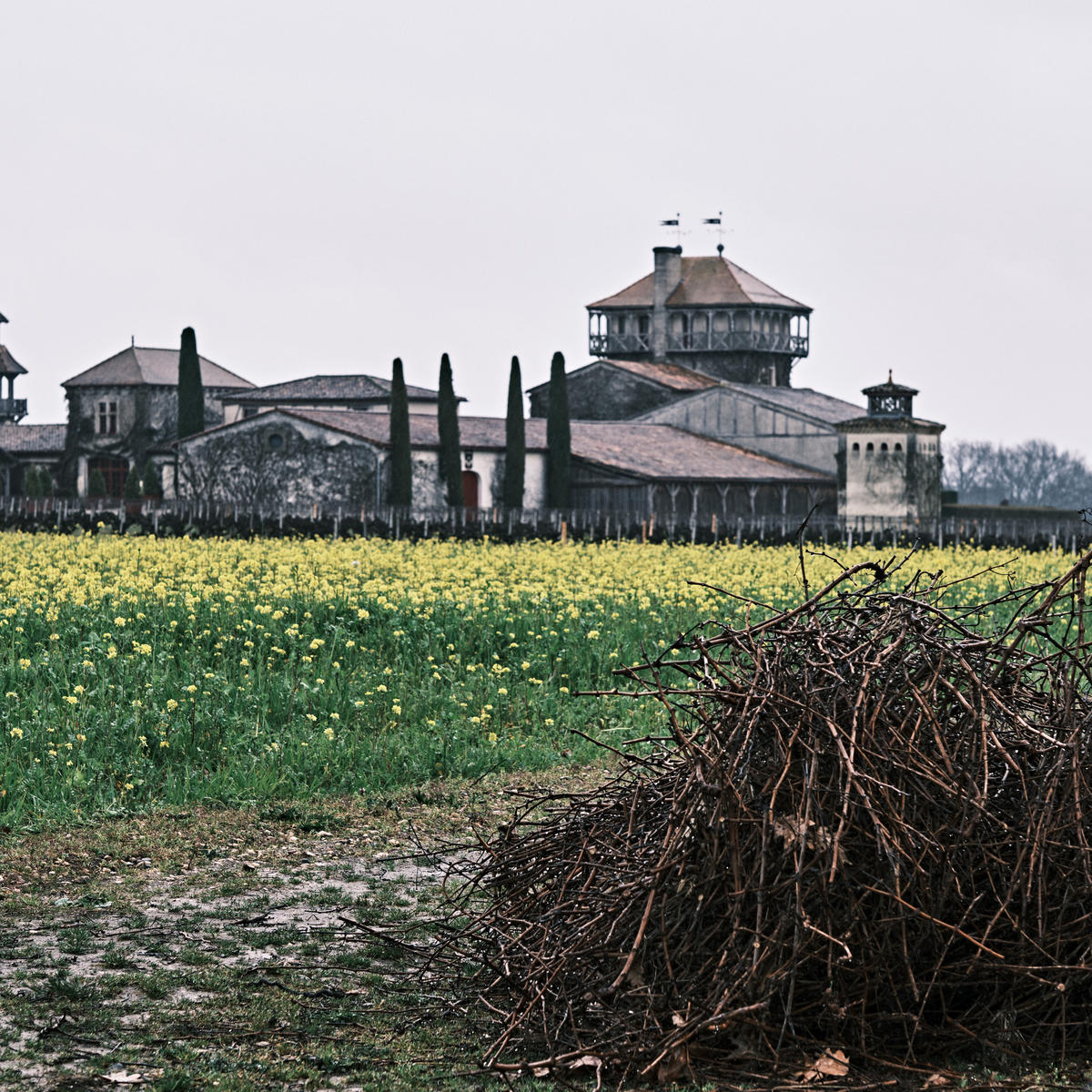 Château Smith Haut Lafitte, one of the highlights from our tasting of Pessac-Léognan 2021 wines.