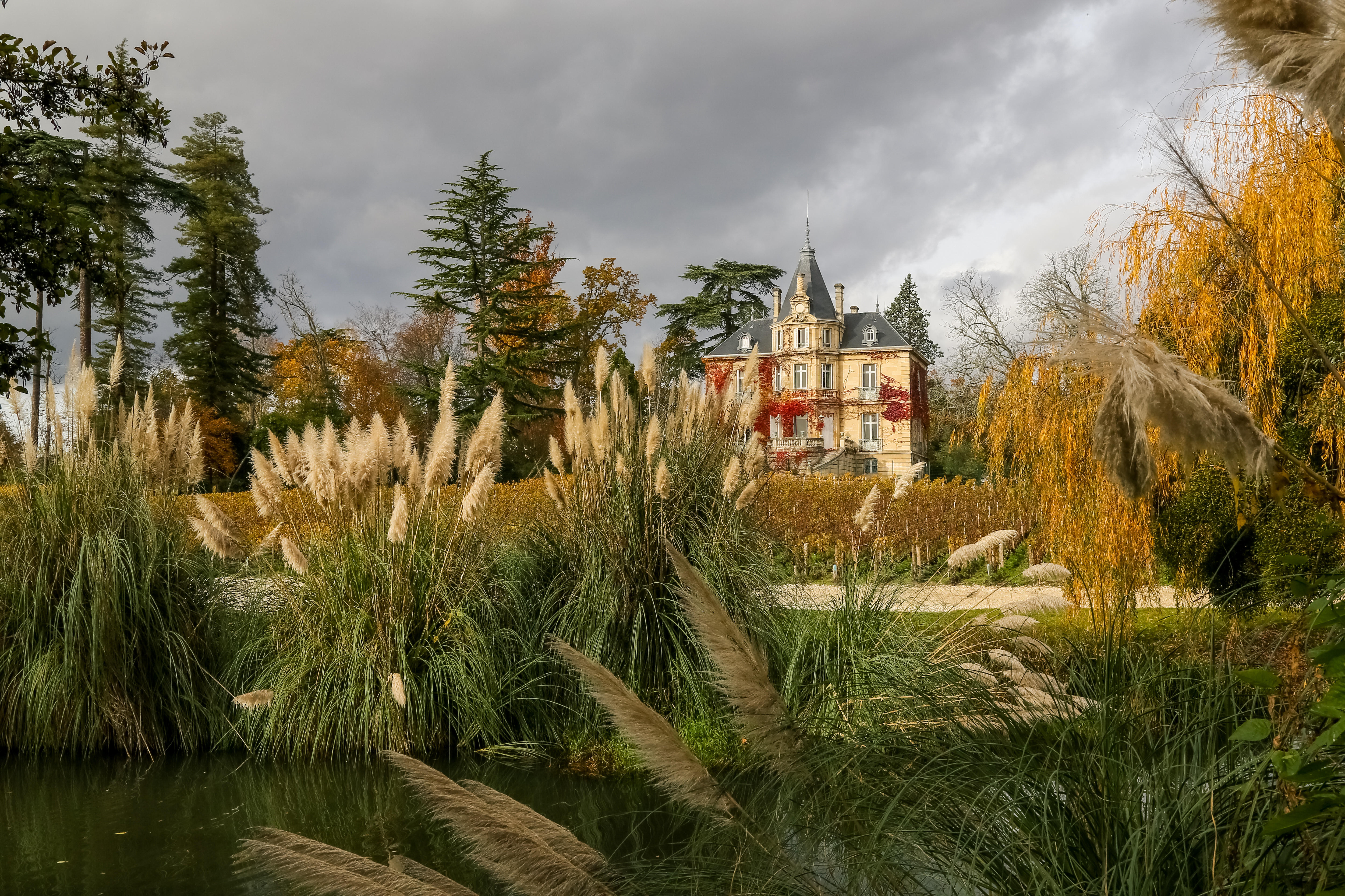 Chateau-at-Ch-Les-Carmes-Haut-Brion-Bordeaux-copyright-Phil-Labeguerie