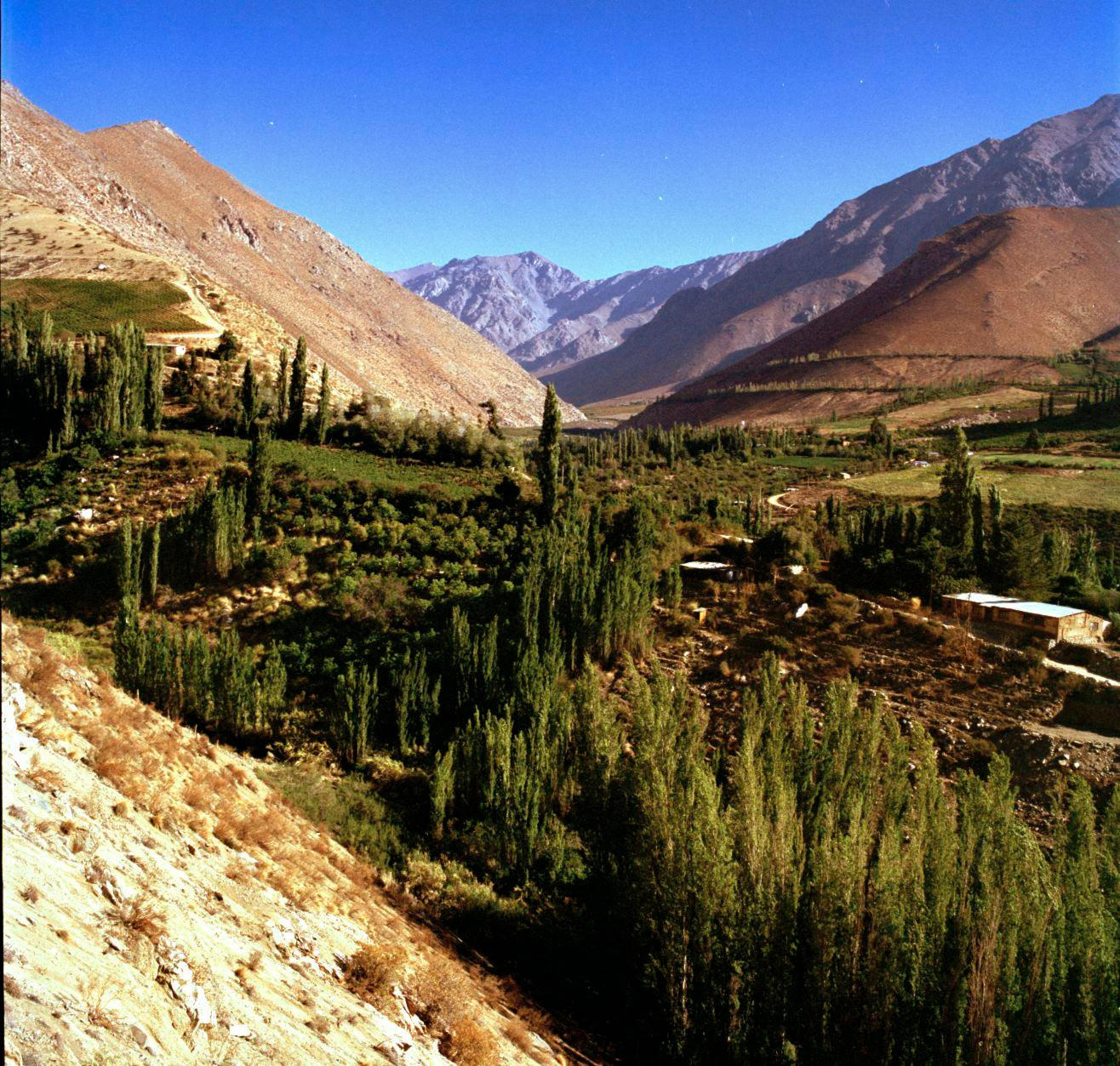 Chile-2015-low-res_Jason-Lowe_24