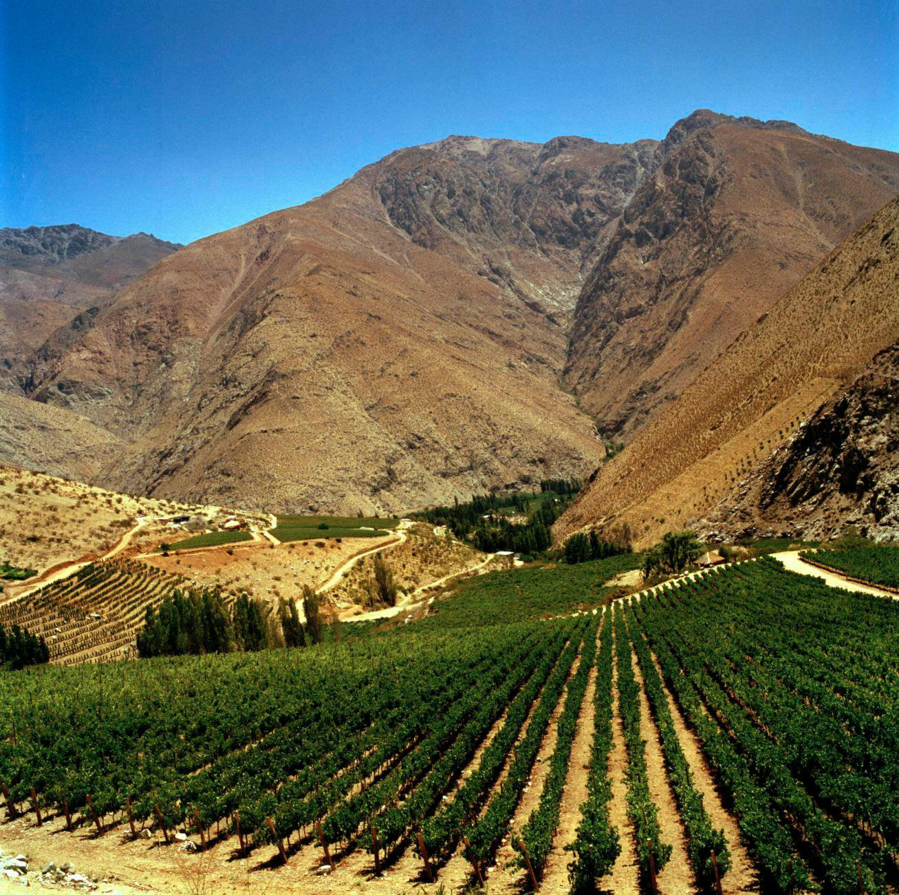 Chile-2015-low-res_Jason-Lowe_51