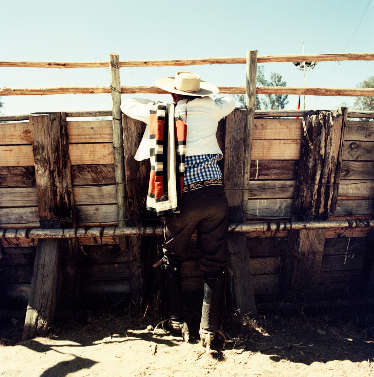 Chile-2015_Jason-Lowe_Montsecano