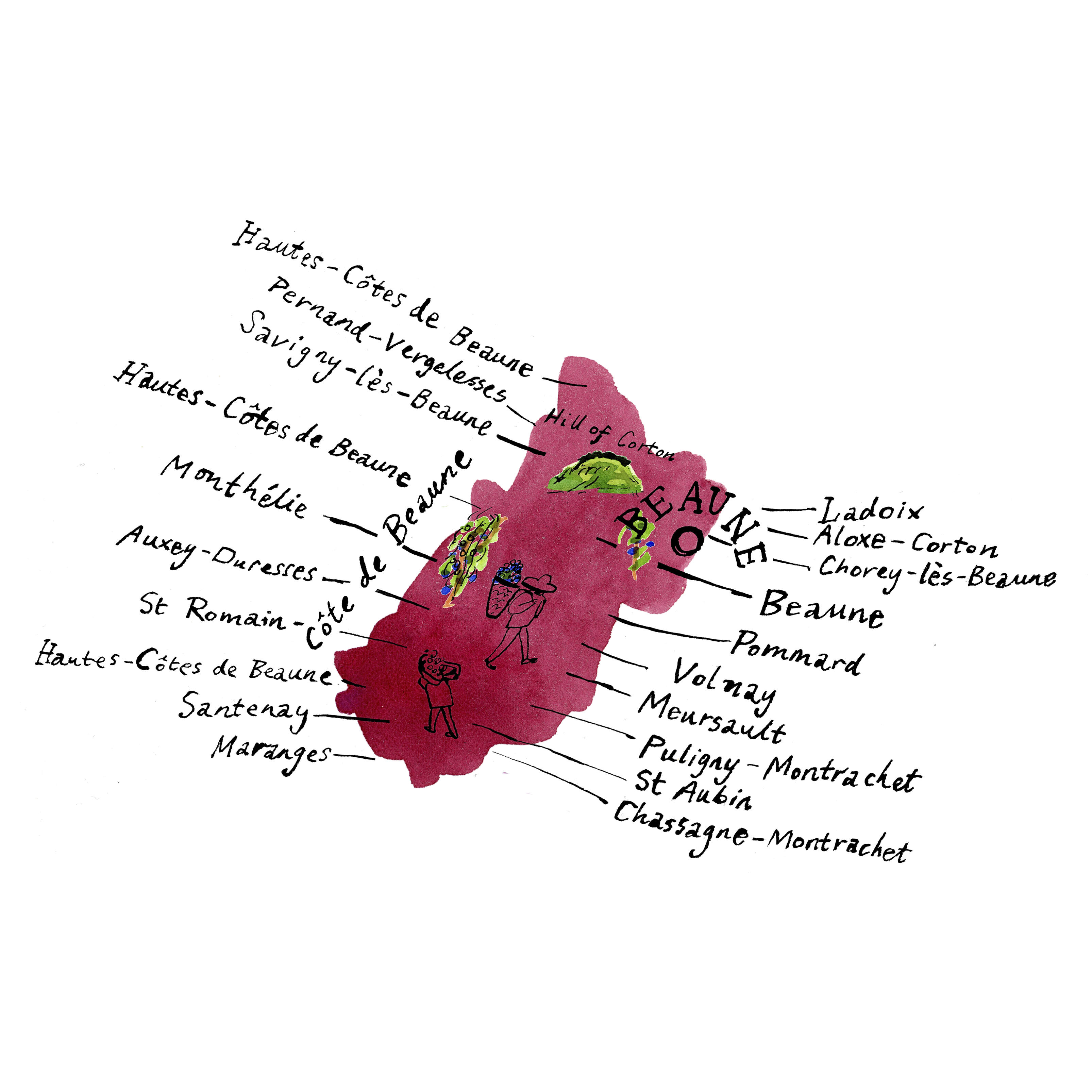 Cote-de-Beaune-illustration-by-James-Oses
