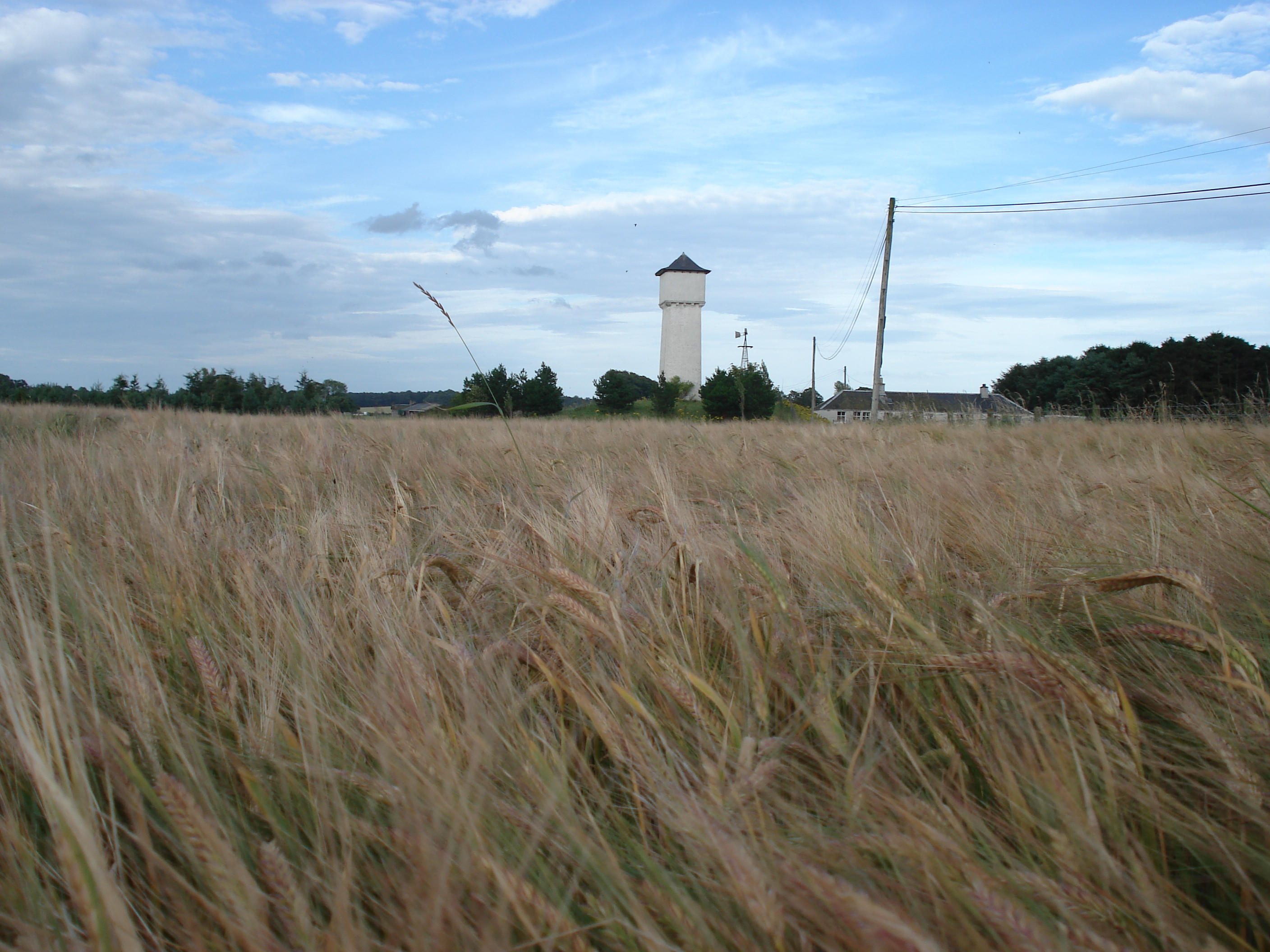 Daftmill Distillery buildings surrounded by farmland in Fife