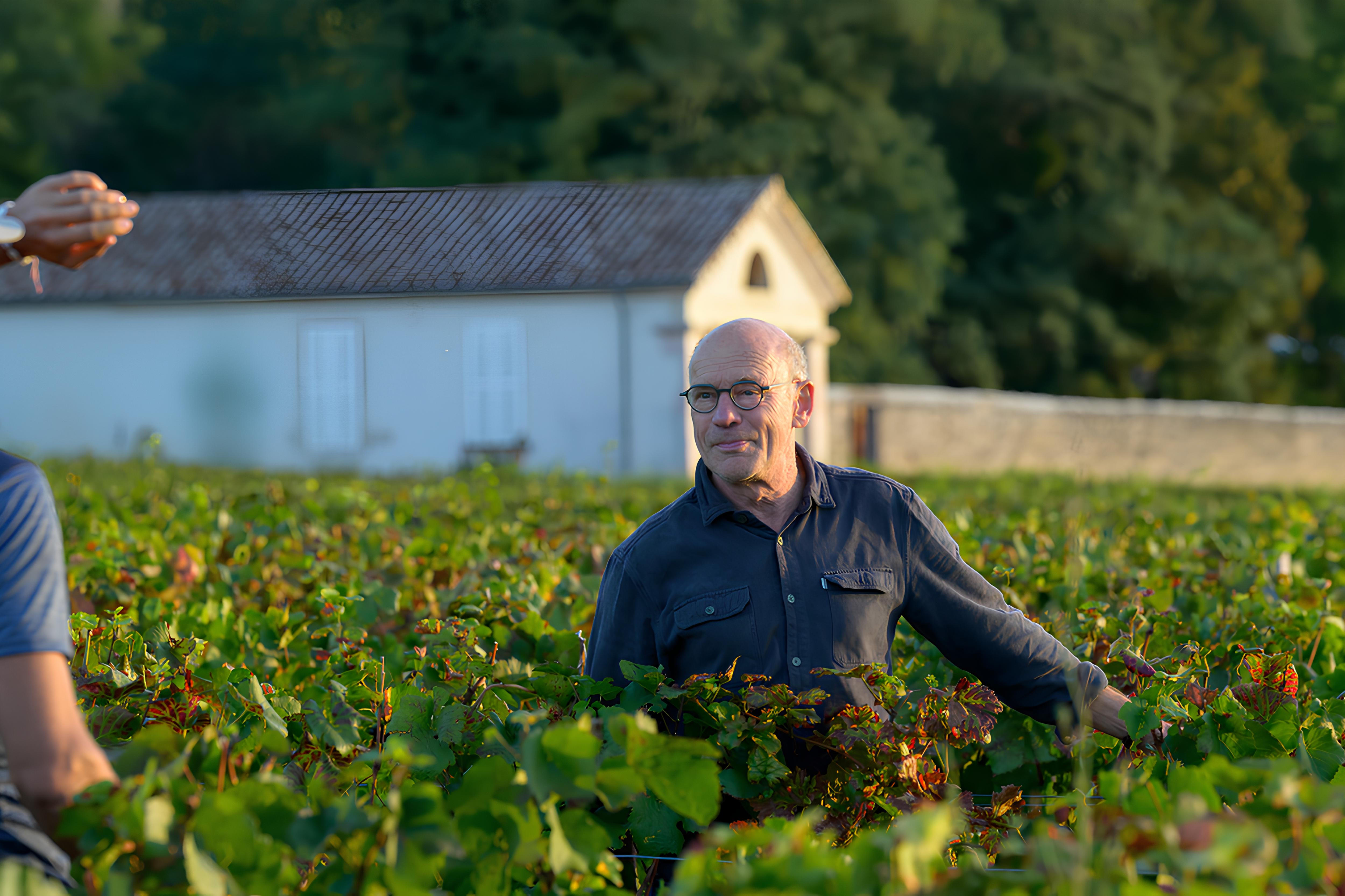 2005 Nuits-St Georges Rouge, Clos de la Maréchale, 1er Cru