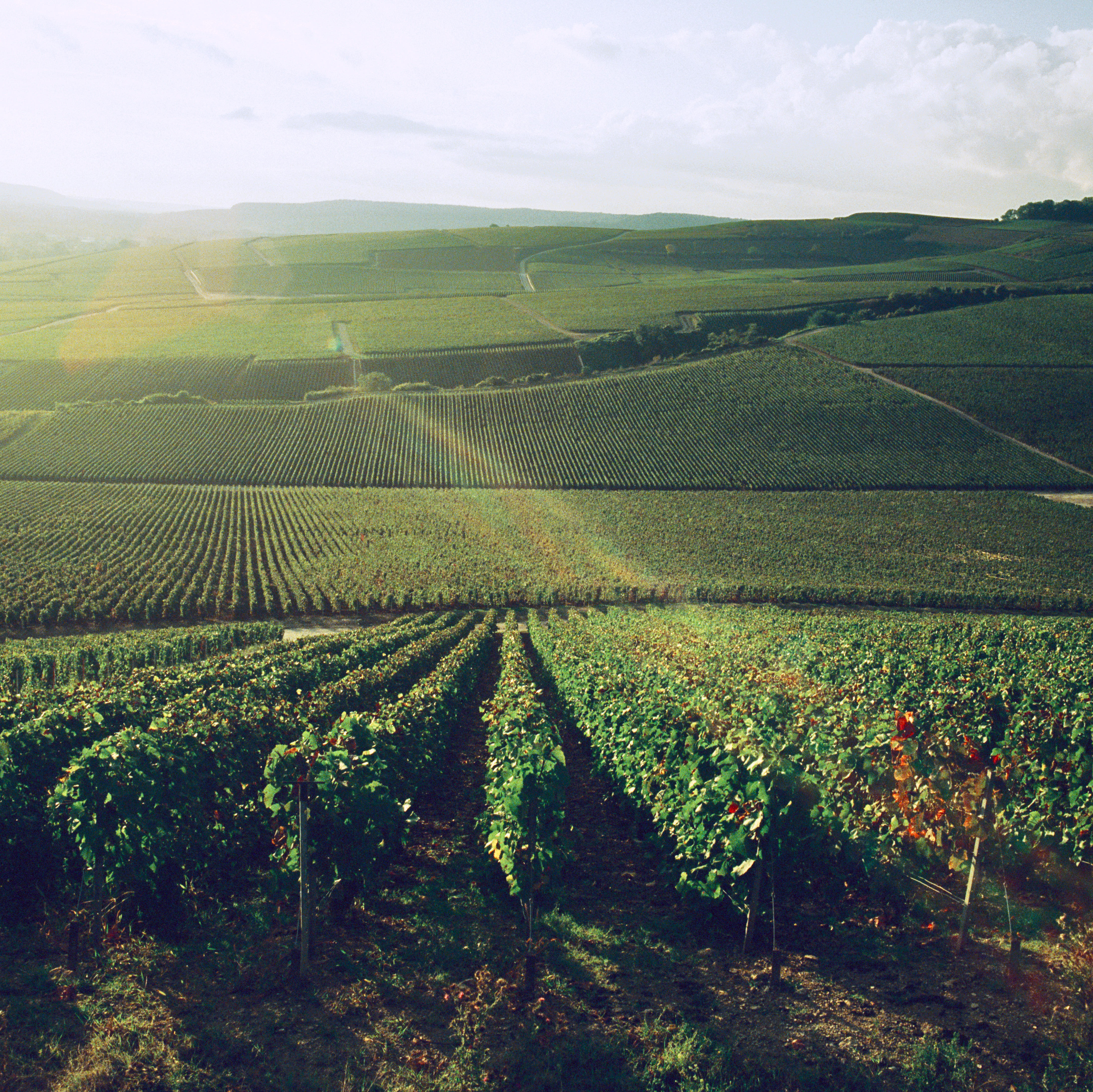 Champagne Siret Frère & Sœur