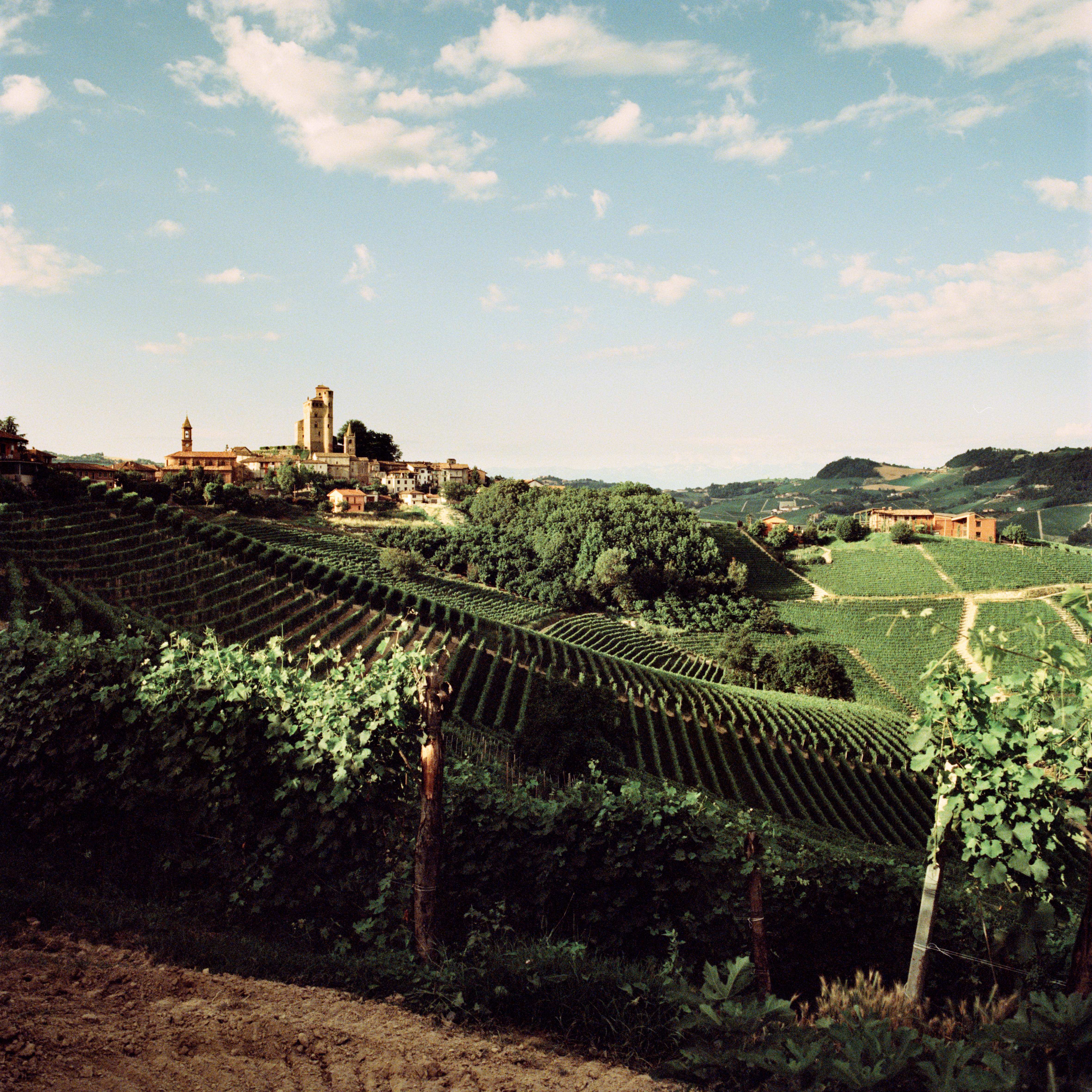 Italy-2014-Piedmont_Jason-Lowe_11