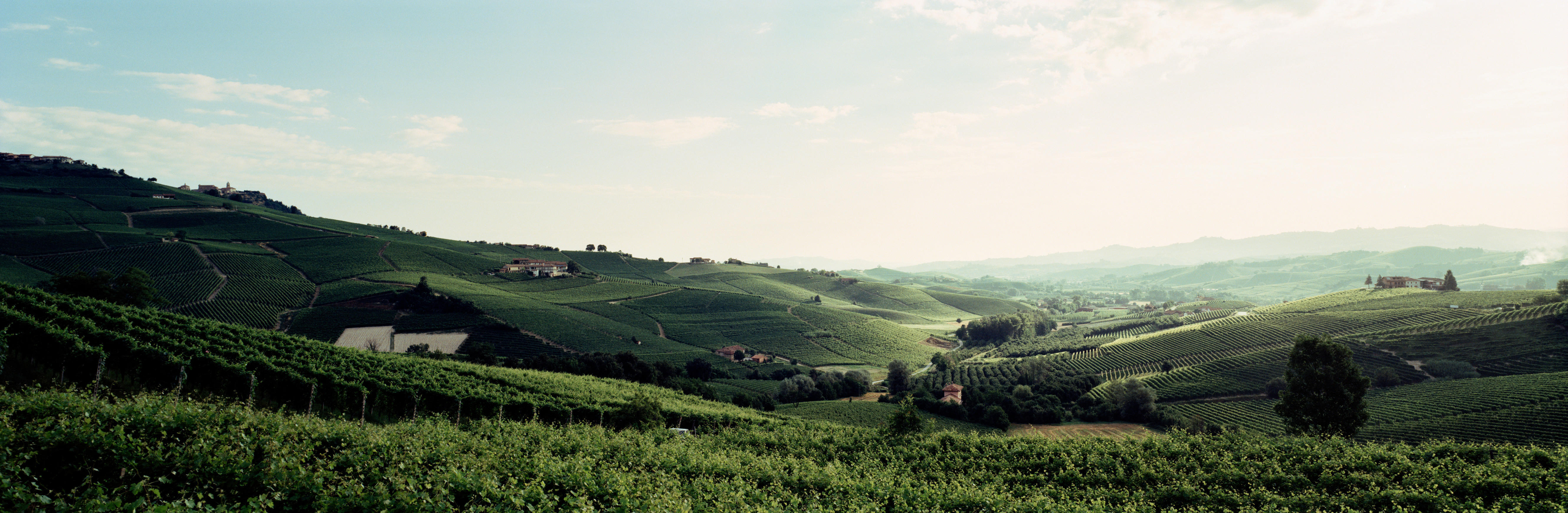 Barolo21 & Barbaresco22