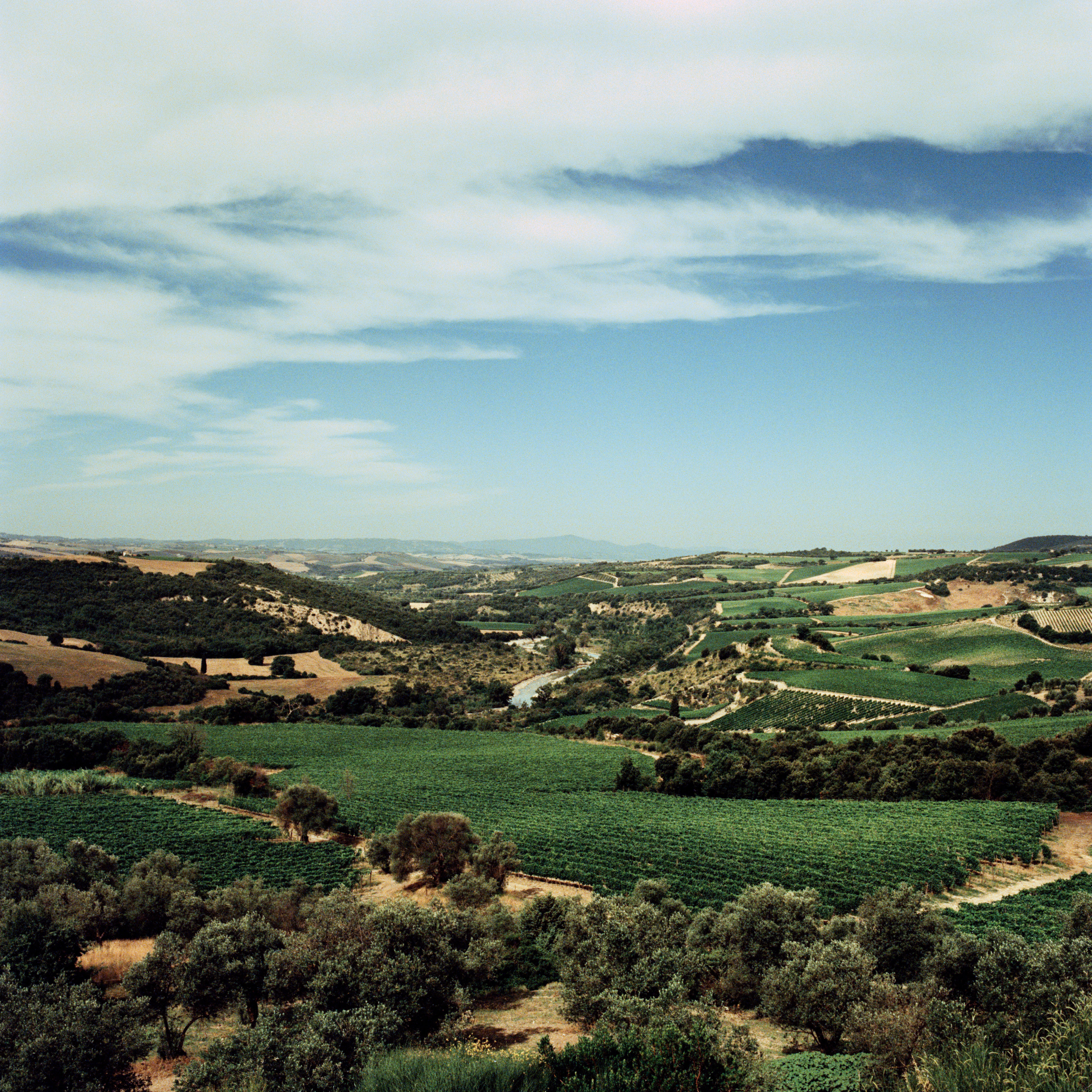 Italy-2014-Tuscany_Jason-Lowe_20