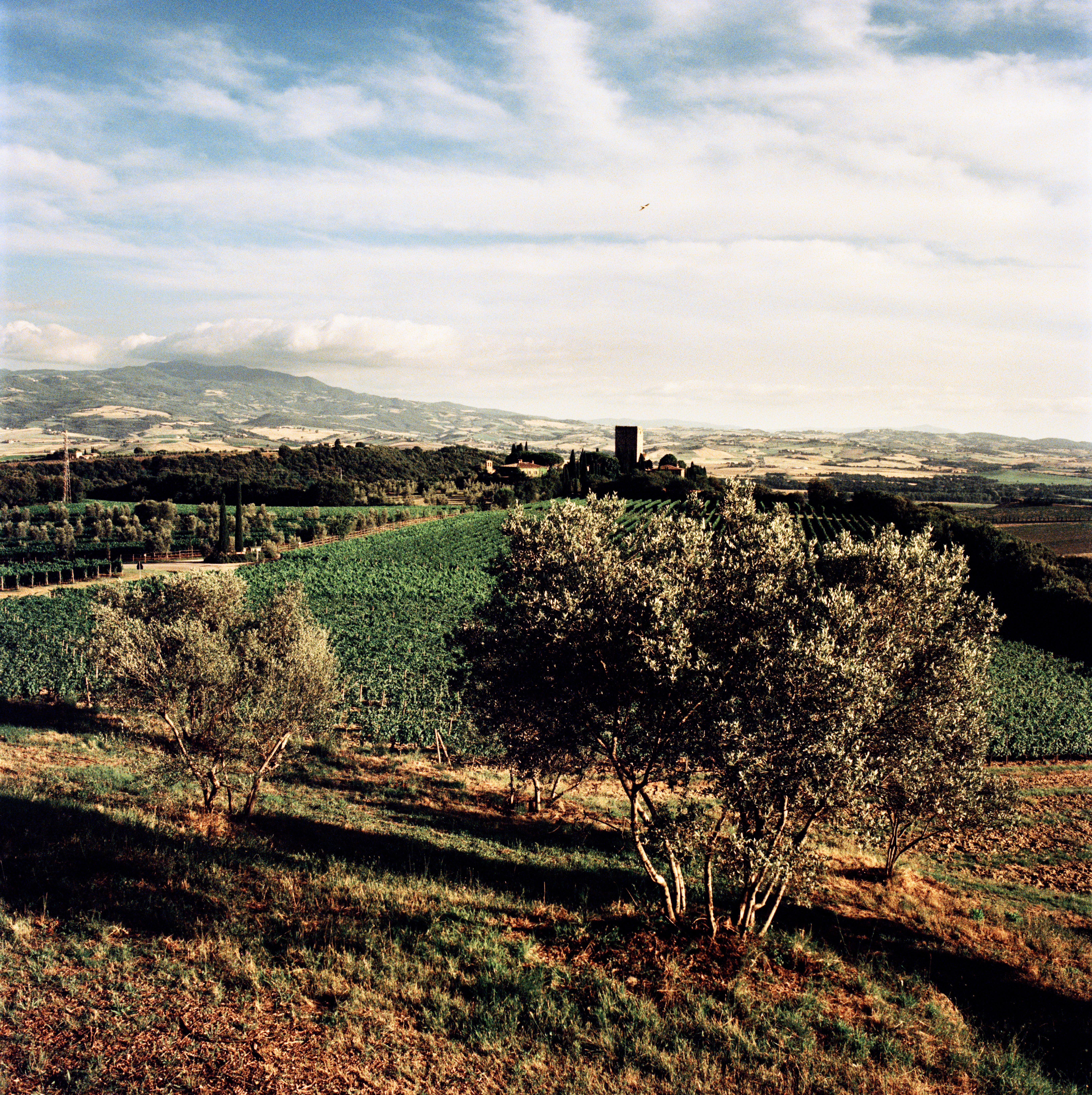 Italy-2015-Tuscany_Jason-Lowe_04