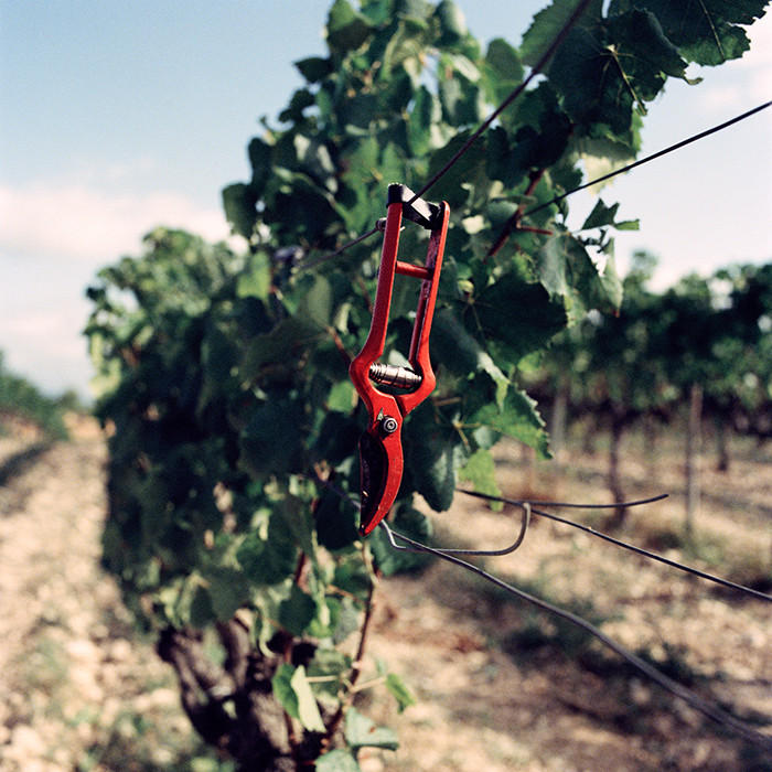 Jason-Lowe-Spain-Catalonia_Gramona_11