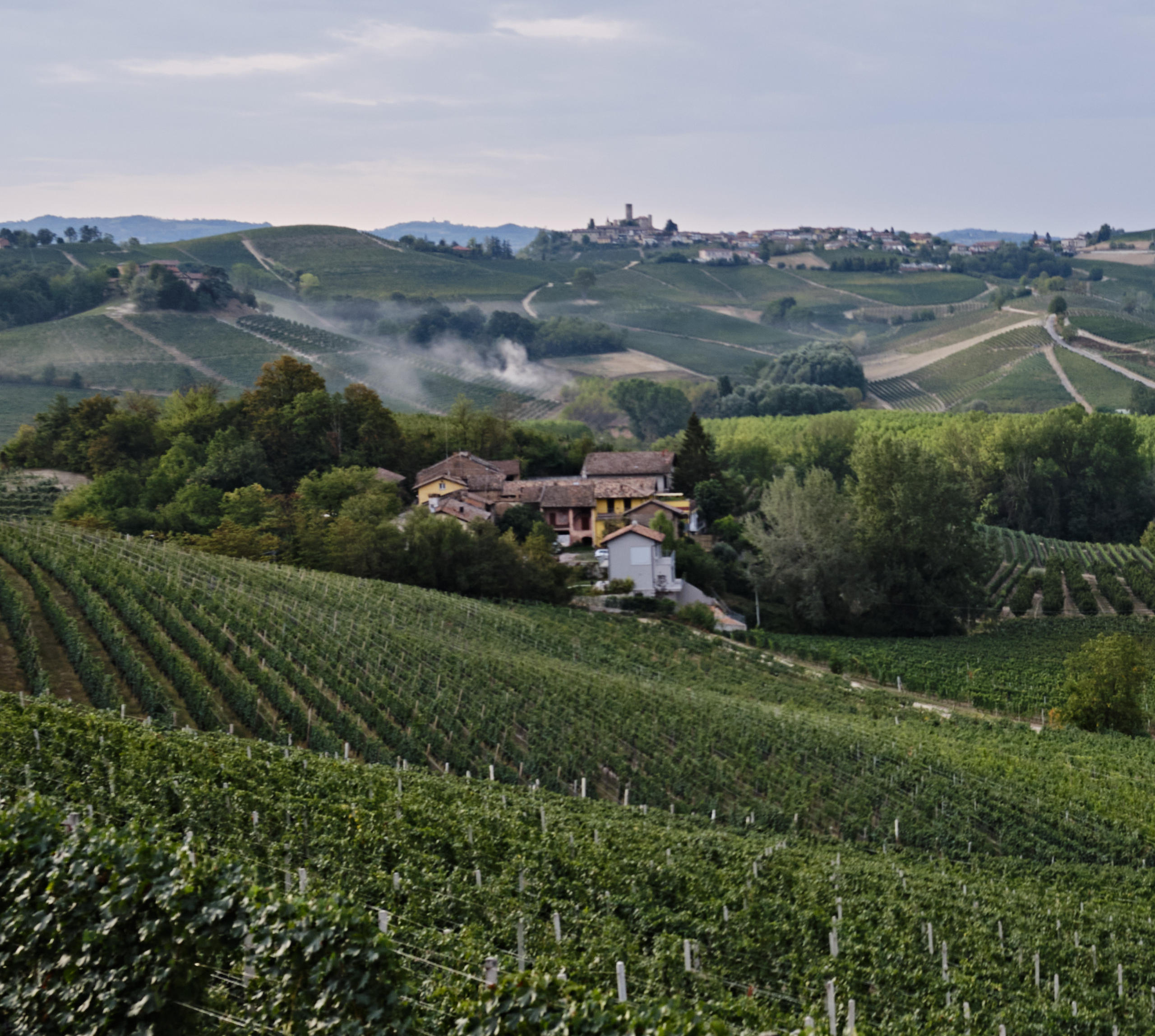 La-Morra-7_Barolo_Italy-2022_Jason-Lowe
