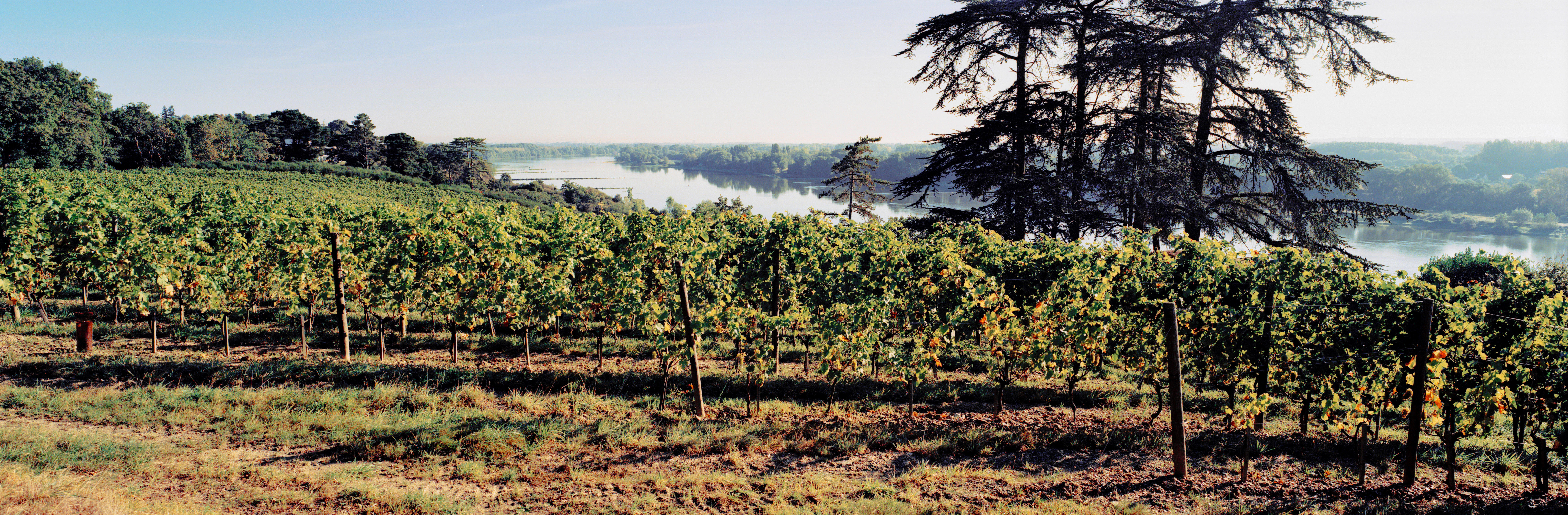 Loire_Jason-Lowe_11-2