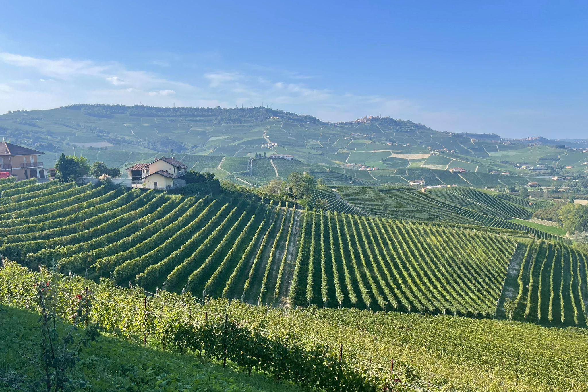Barolo 2021