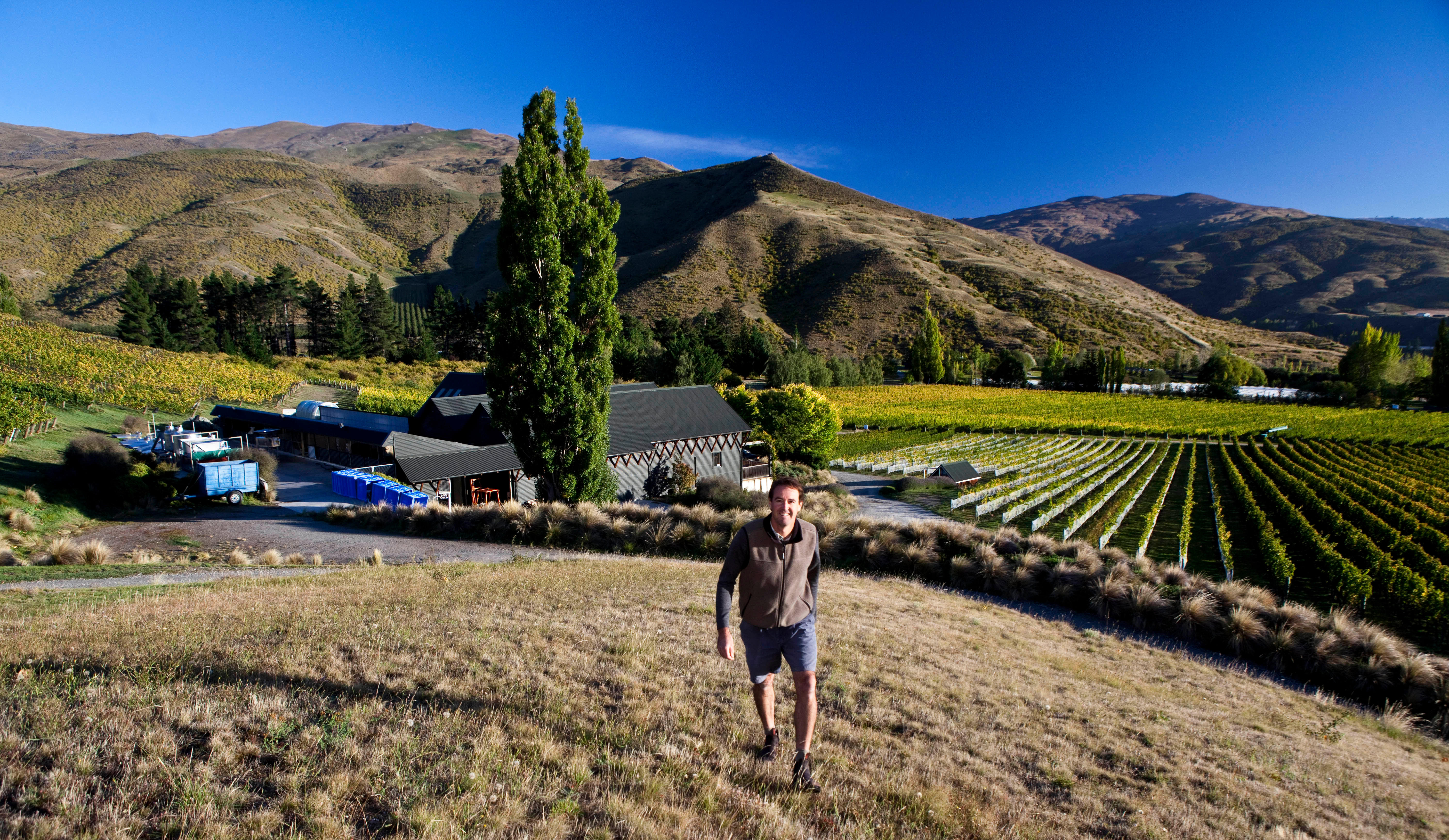 Felton Road vineyard at Cornish Point in Central Otago, New Zealand, during sulphur spray application on the vines under clear skies.
