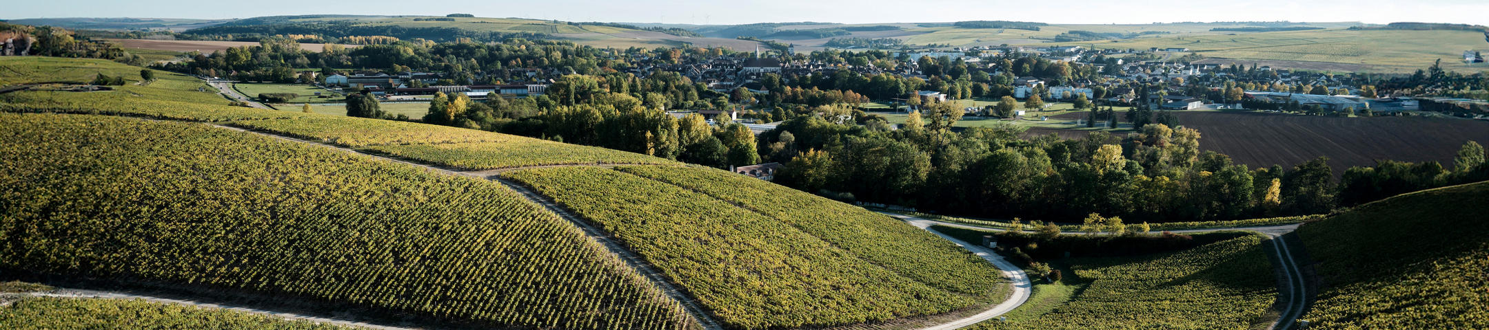 Burgundy 2019 En Primeur