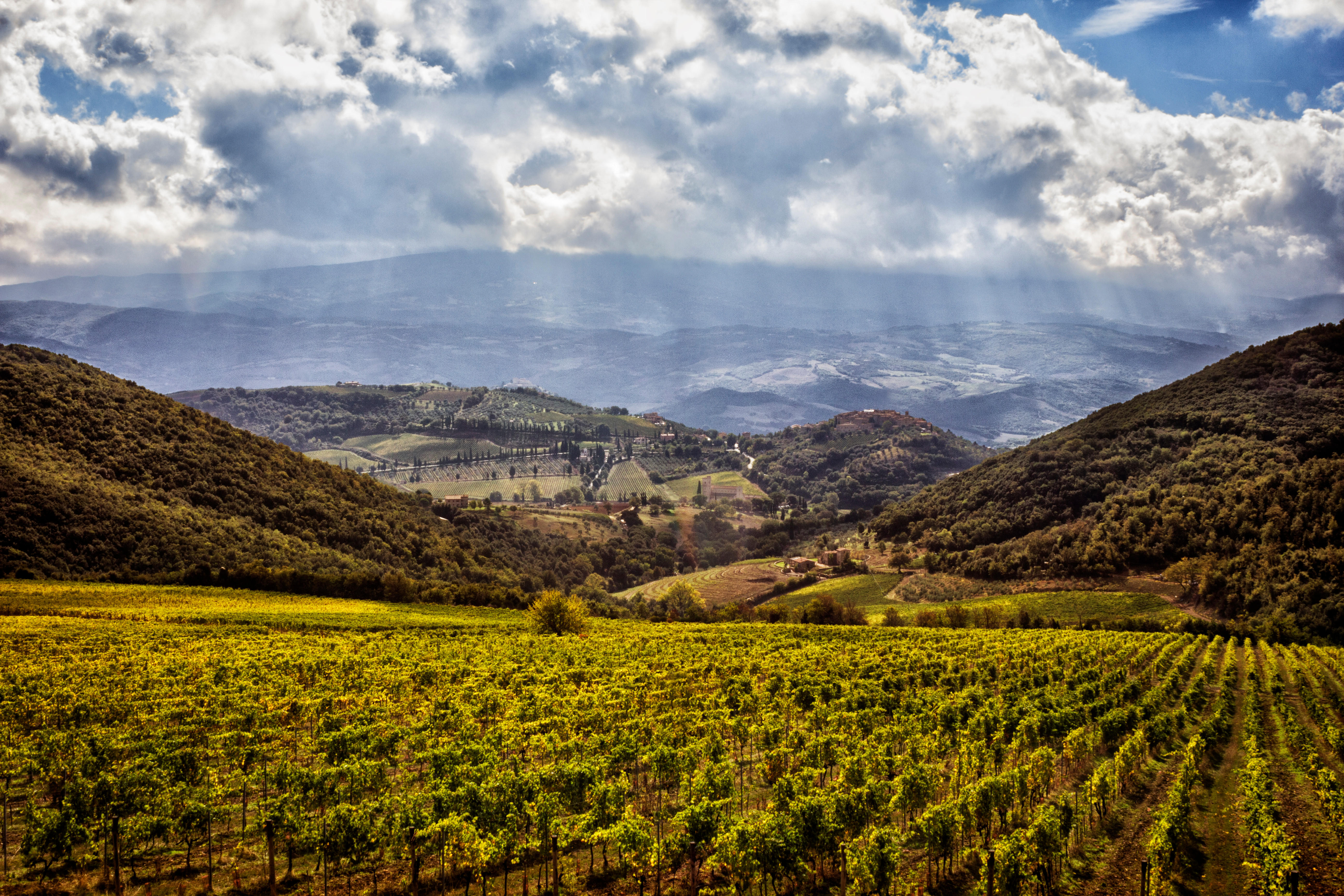 Panorama-vigna_La-Magia_Brunello-6-Photo-supplied-by-La-Magia