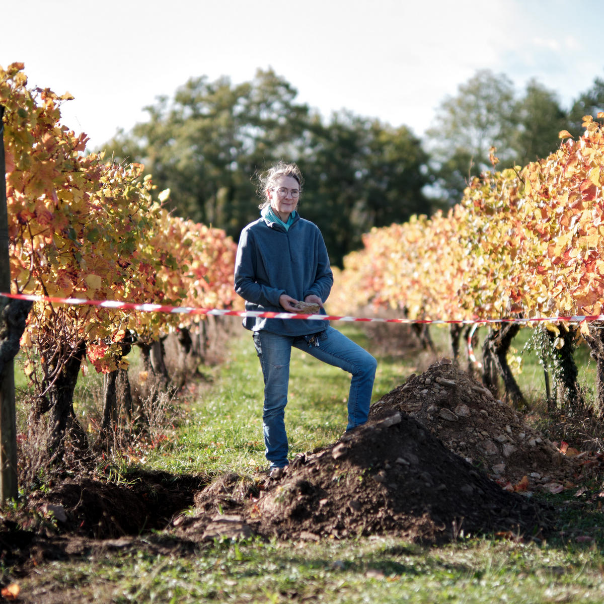 Domaine Naudin-Ferrand: on the margins — Berry Bros. & Rudd Wine Blog