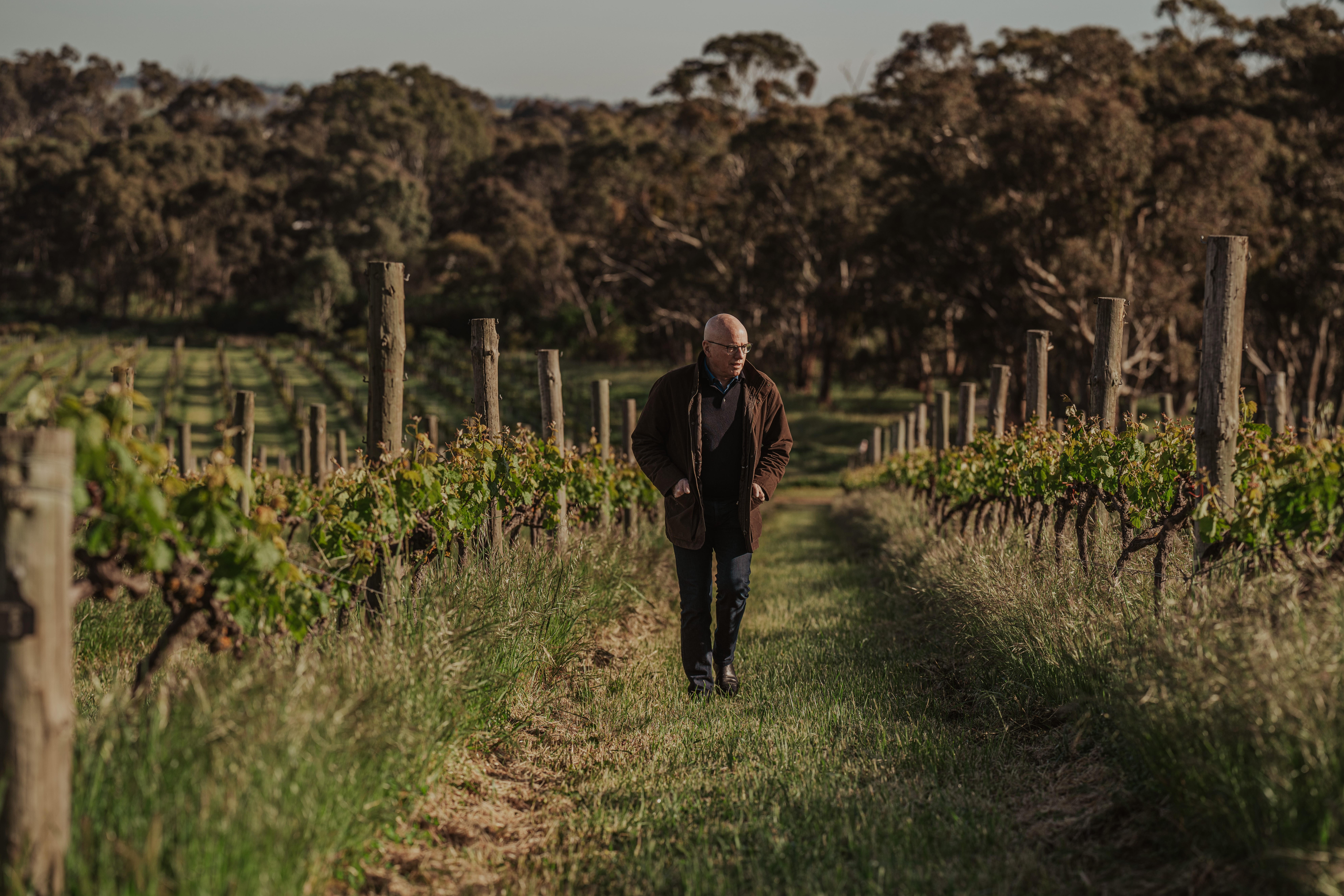 Jeffrey Grosset walks through neatly planted vineyard rows in the Clare Valley, which are surrounded by lush green vines and tall grass, with a backdrop of dense trees under soft natural light.