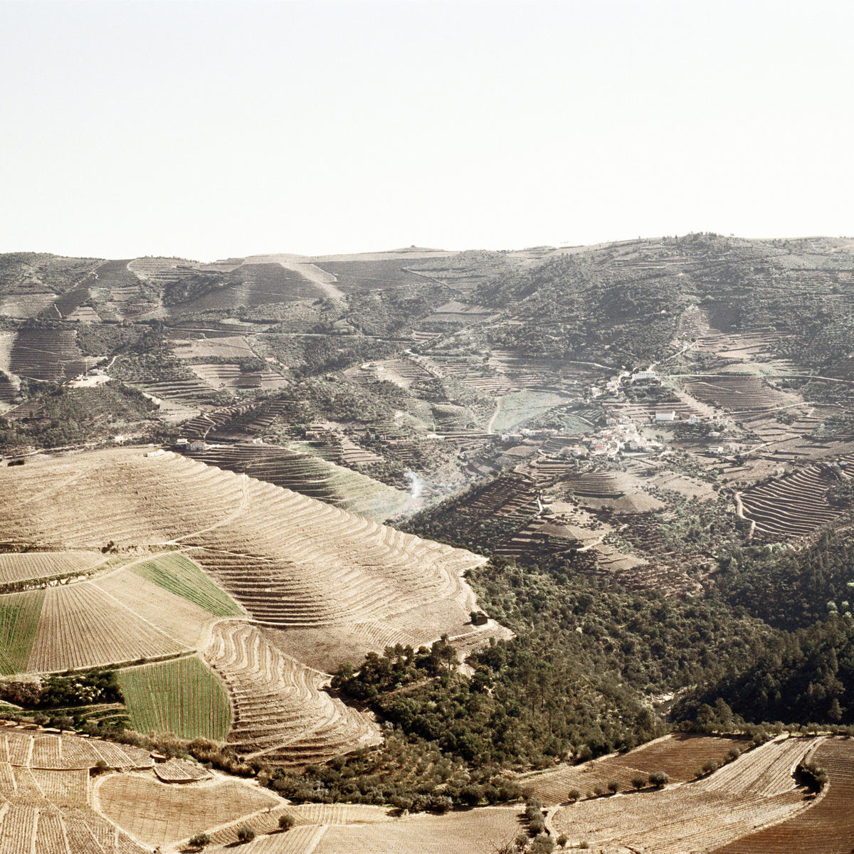 treasures of the Douro — Berry Bros. & Rudd Wine Weblog