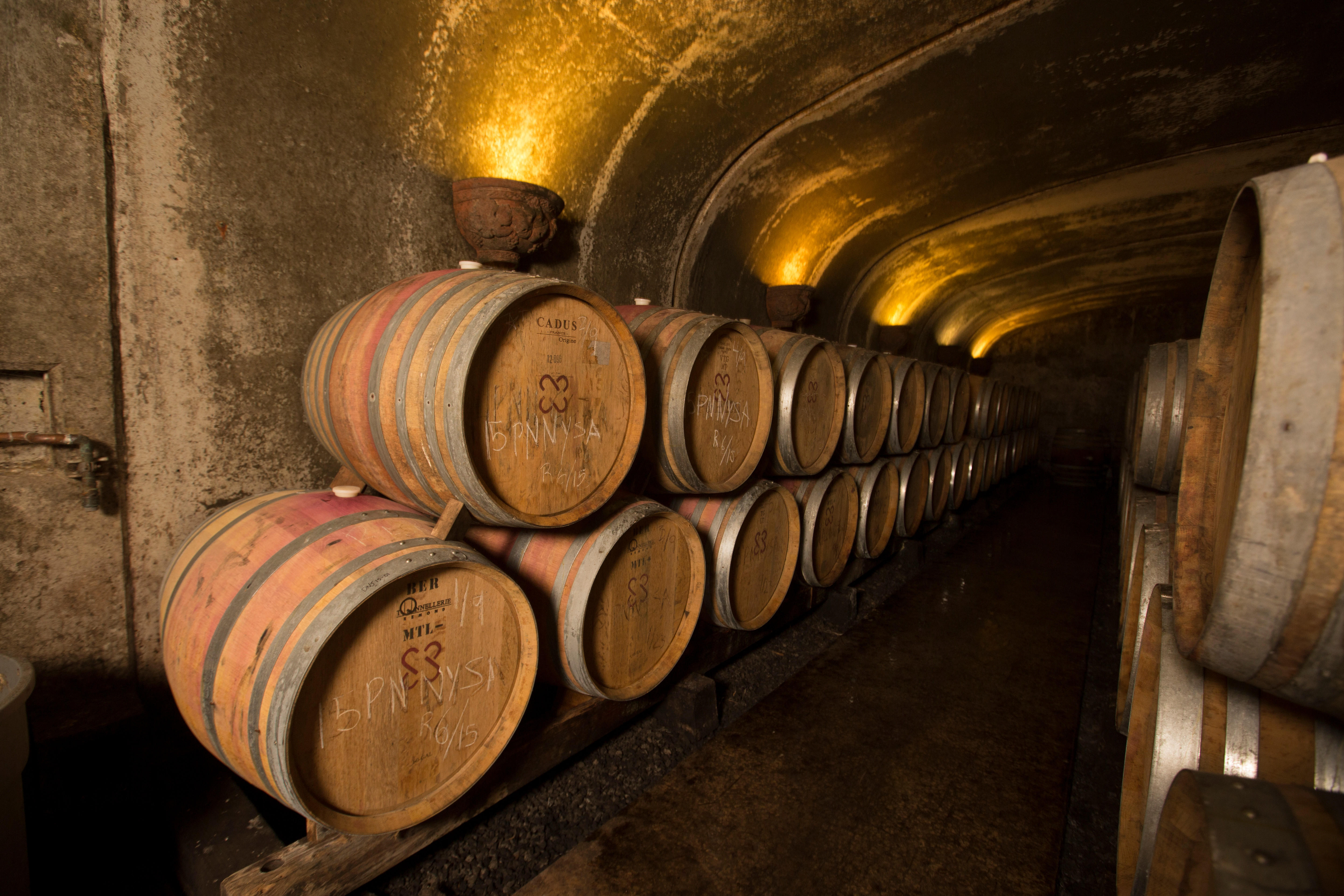 Producer_Nicolas-Jay-cellar1