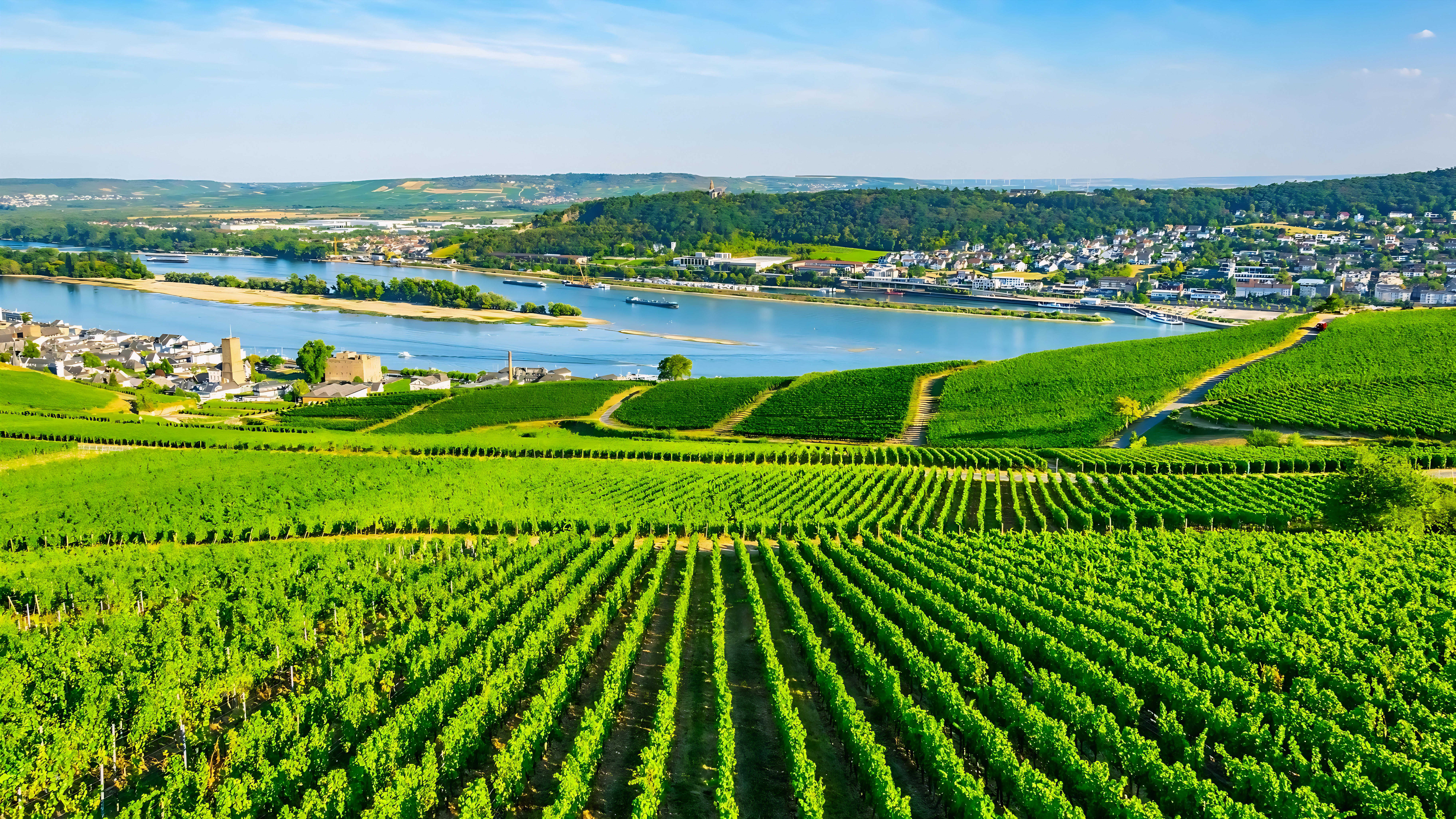 Rheingau