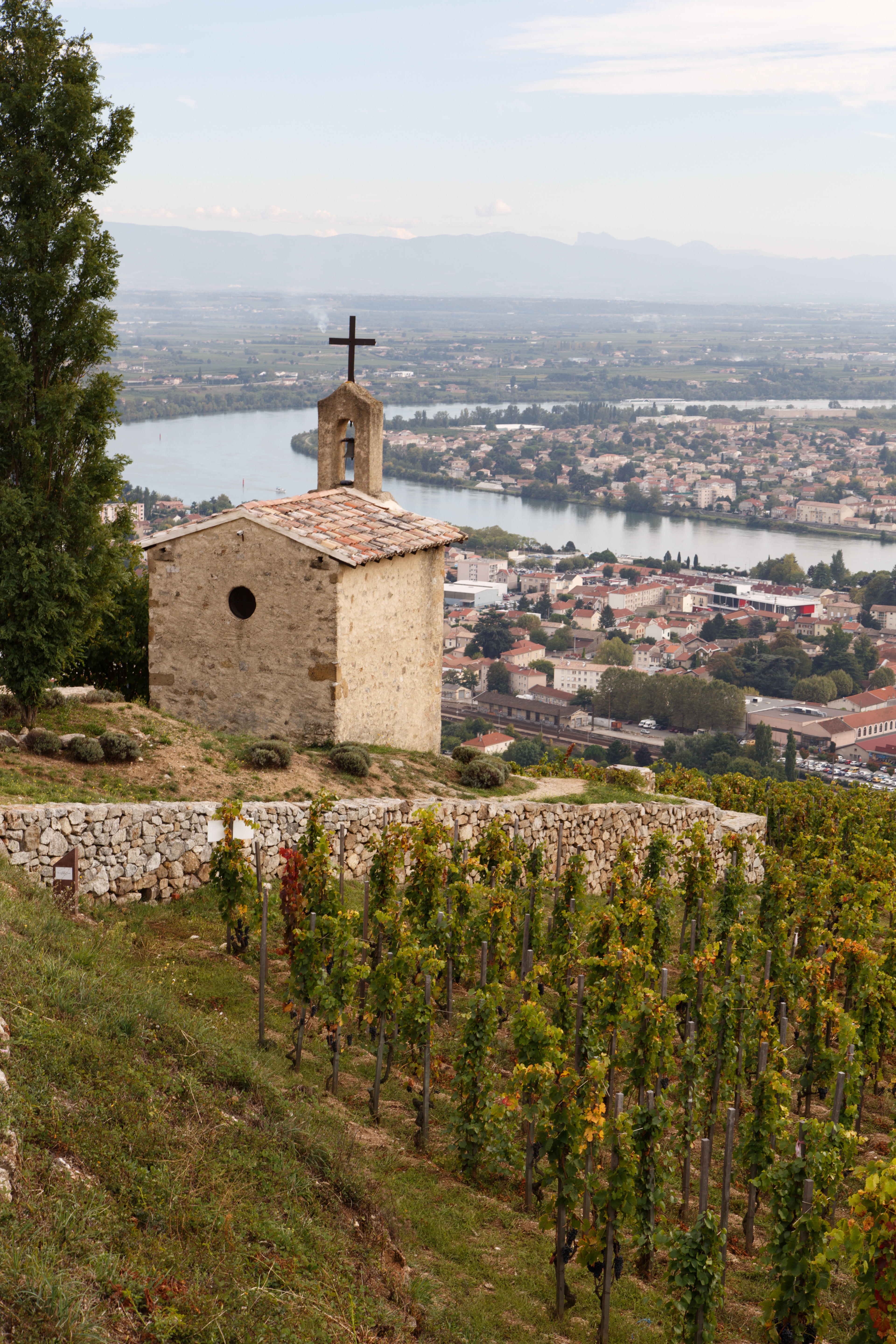 Rhone-2013_Jason-Lowe_50
