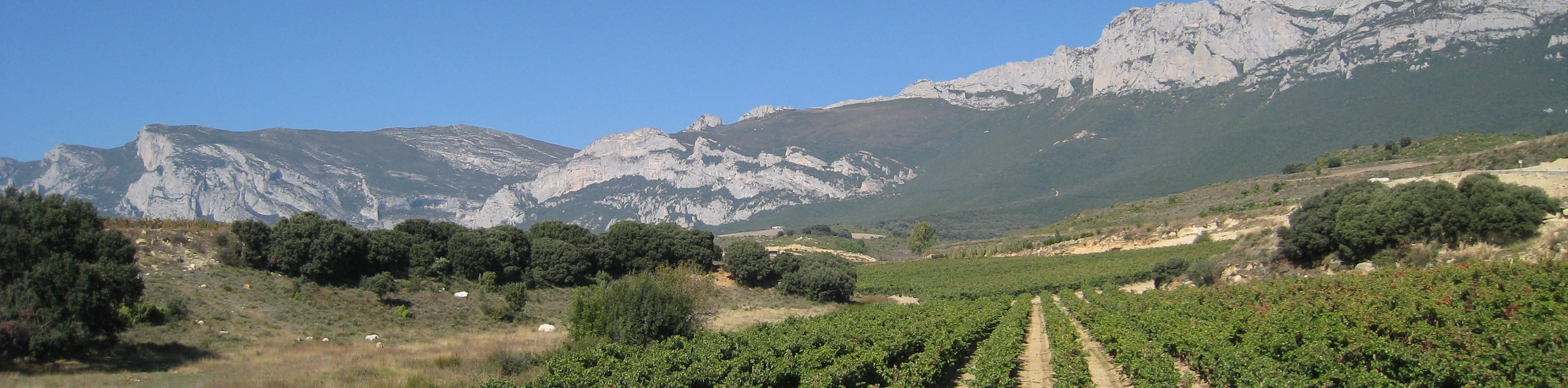 2022 Berry Bros. & Rudd Rioja by Bodegas Amézola de la Mora, Spain