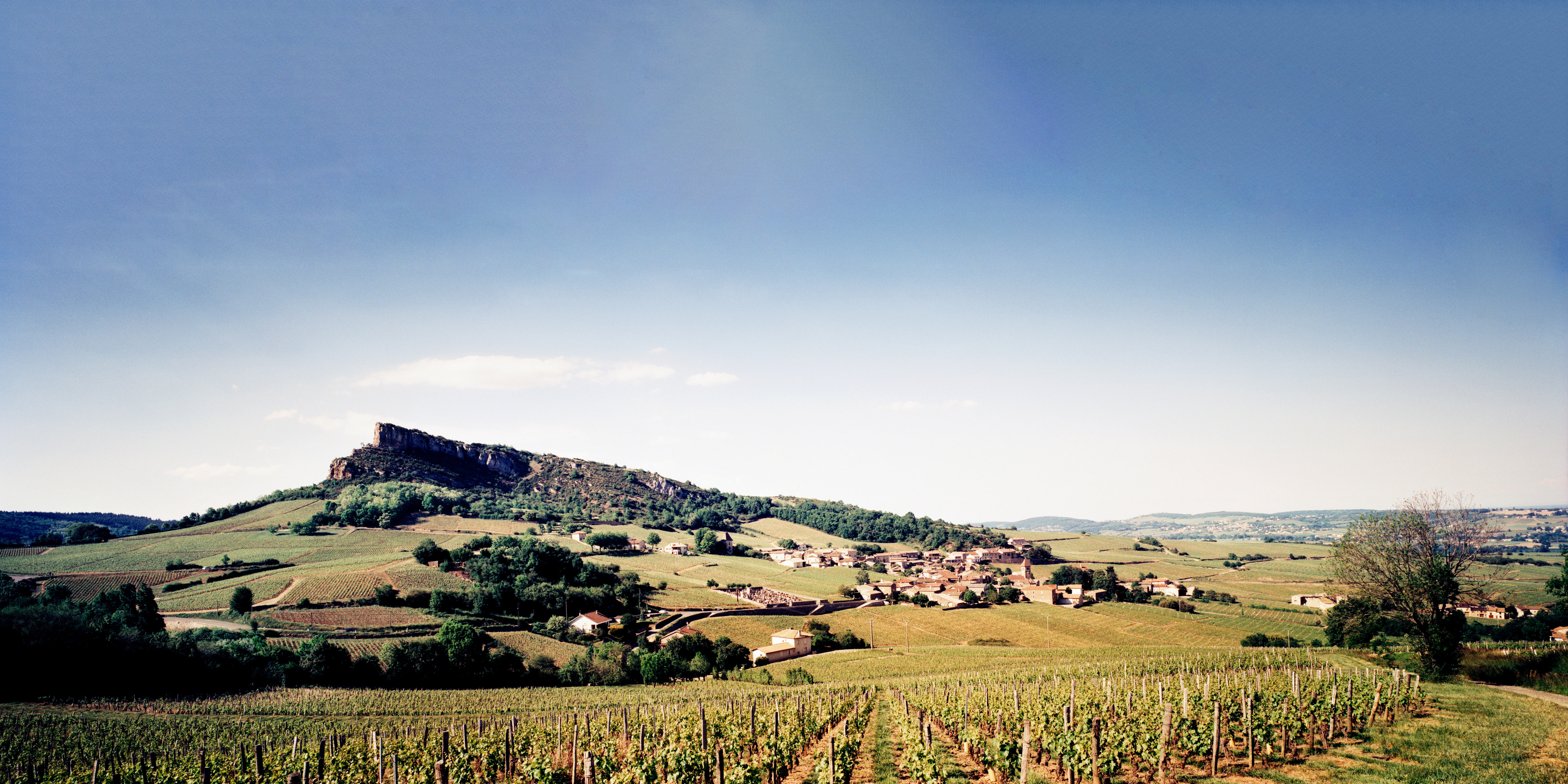 Roche-du-Solutre_Maconnais_Burgundy-2017_Jason-Lowe_019