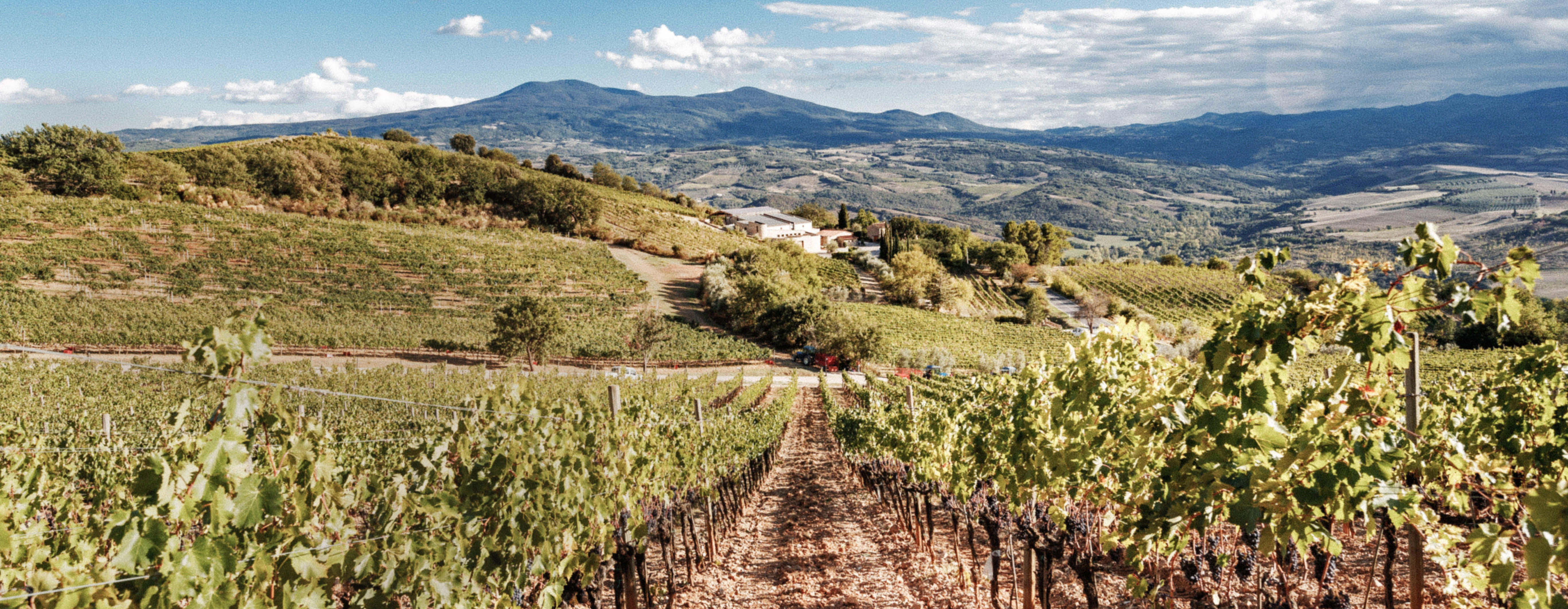 SHADOW-Brunello-Poggio-di-sotto-hero-desktop